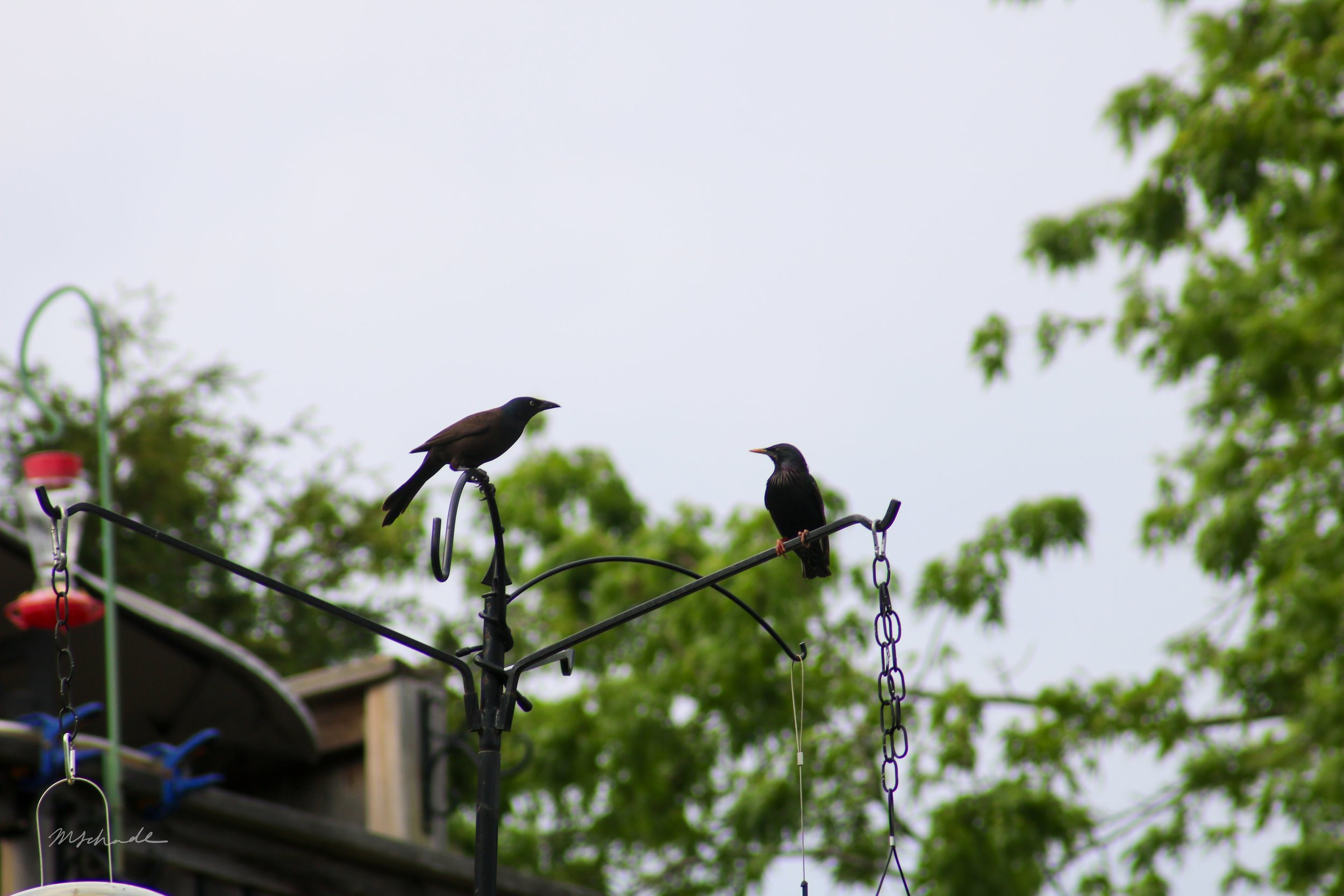Waterloo, ON, 2026-05-18