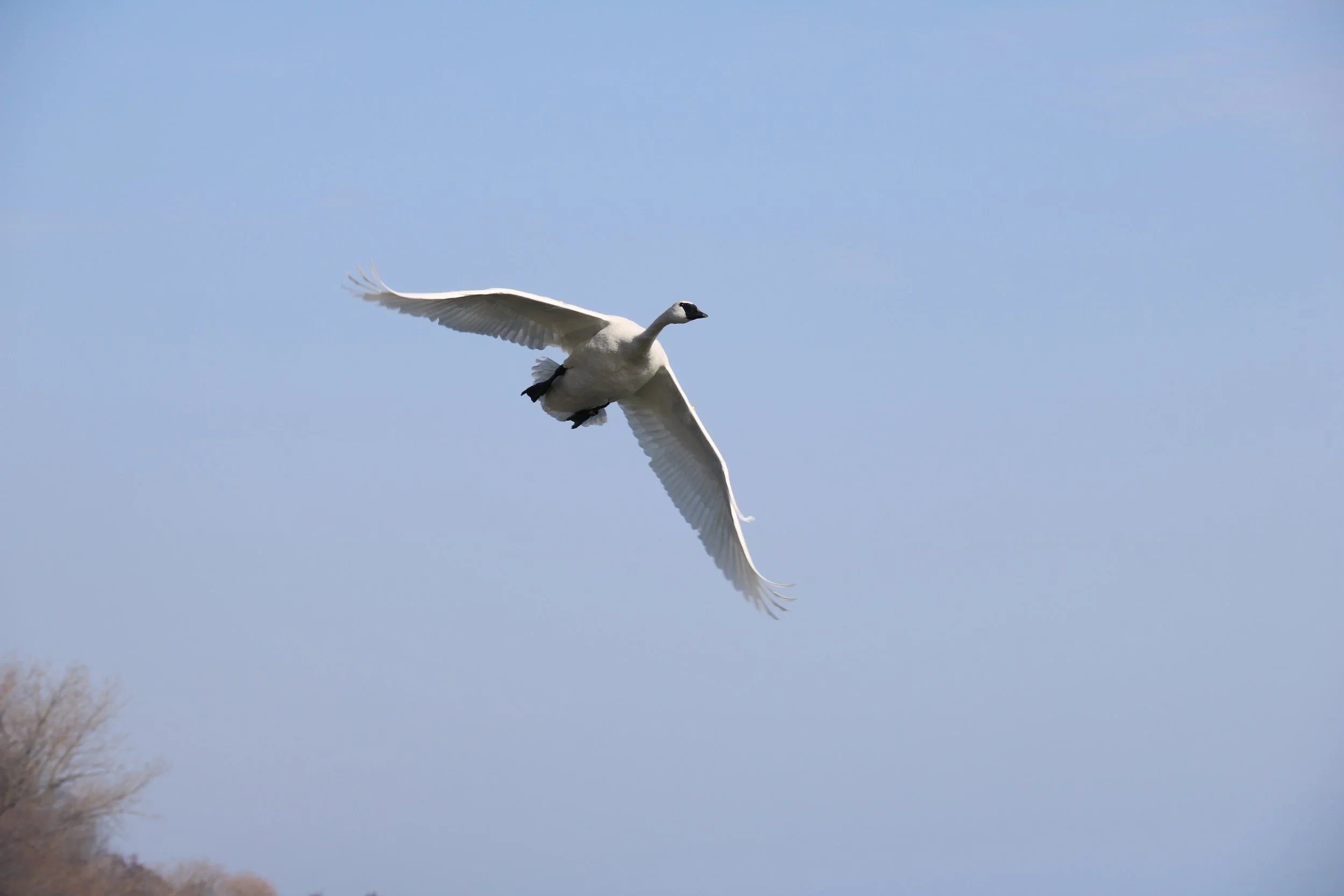 IMG_1001.JPG
