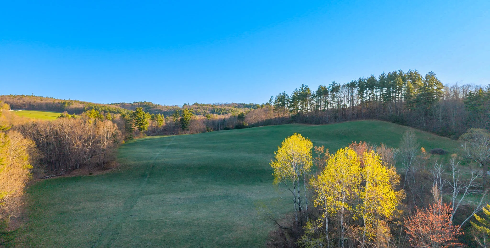 A scenic landscape featuring rolling green hills, a mix of deciduous and coniferous trees, and a clear blue sky.
