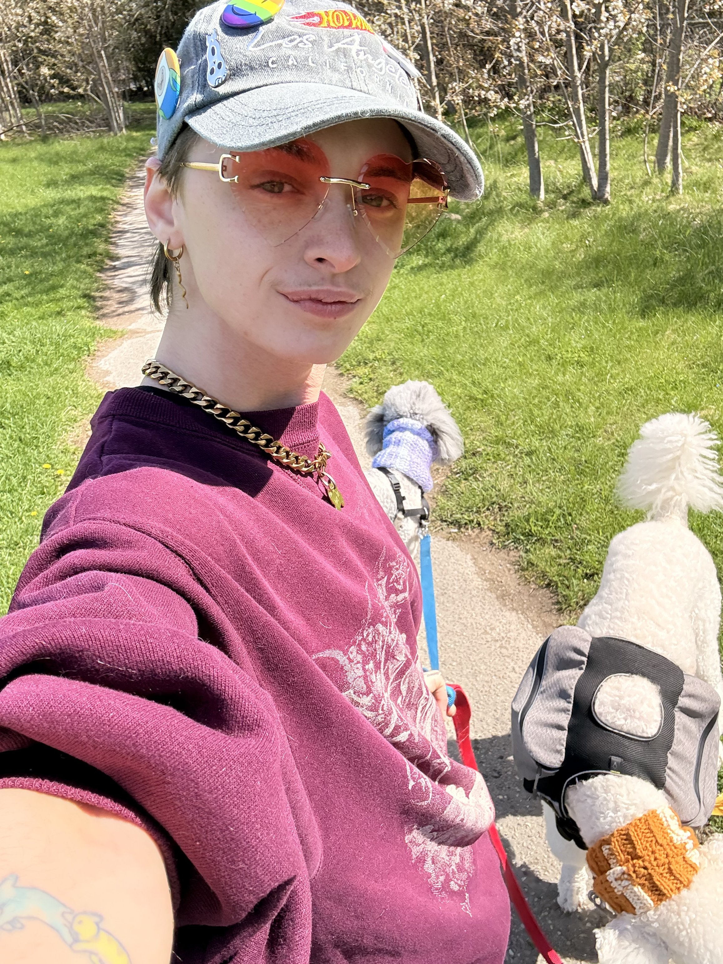 A person with short dark hair, wearing a gray cap with rainbow pins, pink tinted glasses, a gold chain, and earrings, taking a selfie outdoors on a sunny day. They are dressed in a maroon top and holding a leash attached to a white poodle wearing orange and white knit leg warmers and a harness. The background features a green grassy area and trees with budding leaves.