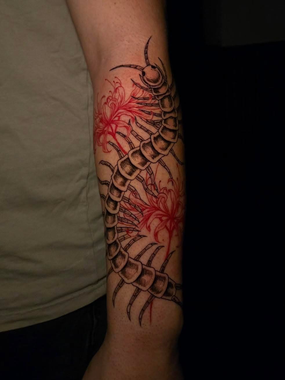 Tattoo of a centipede and red flowers on a person's arm.