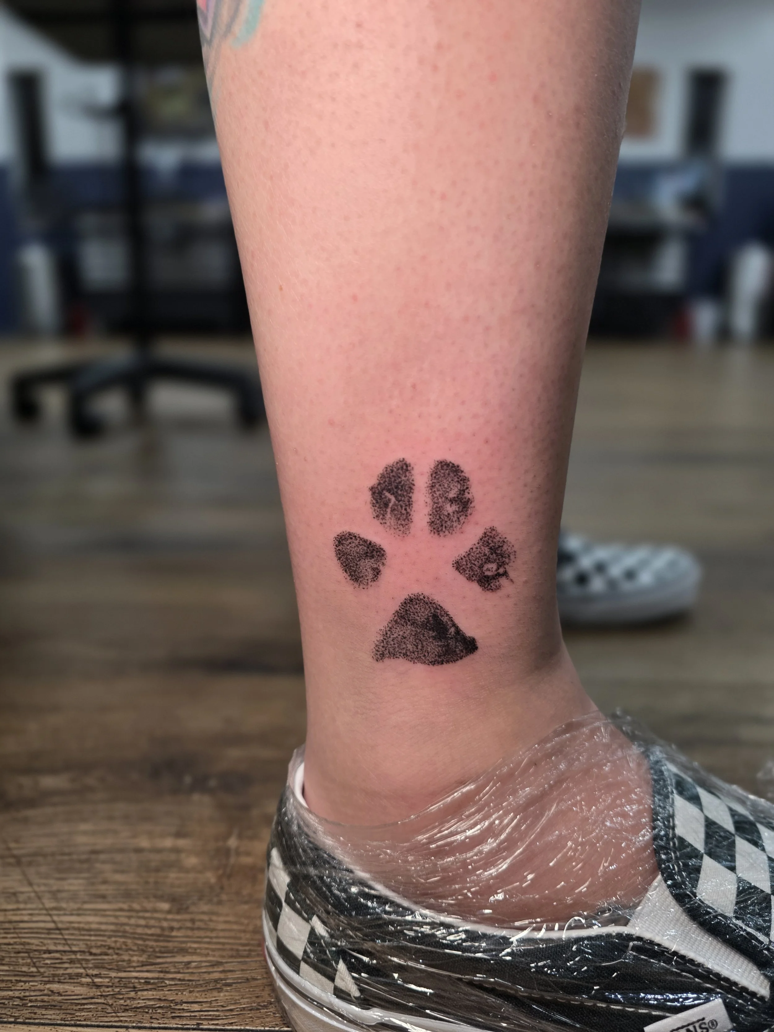 Close-up of a person's ankle with a tattoo of a paw print, wrapped in plastic wrap, wearing a sneaker with a checkered pattern, on a wooden floor.