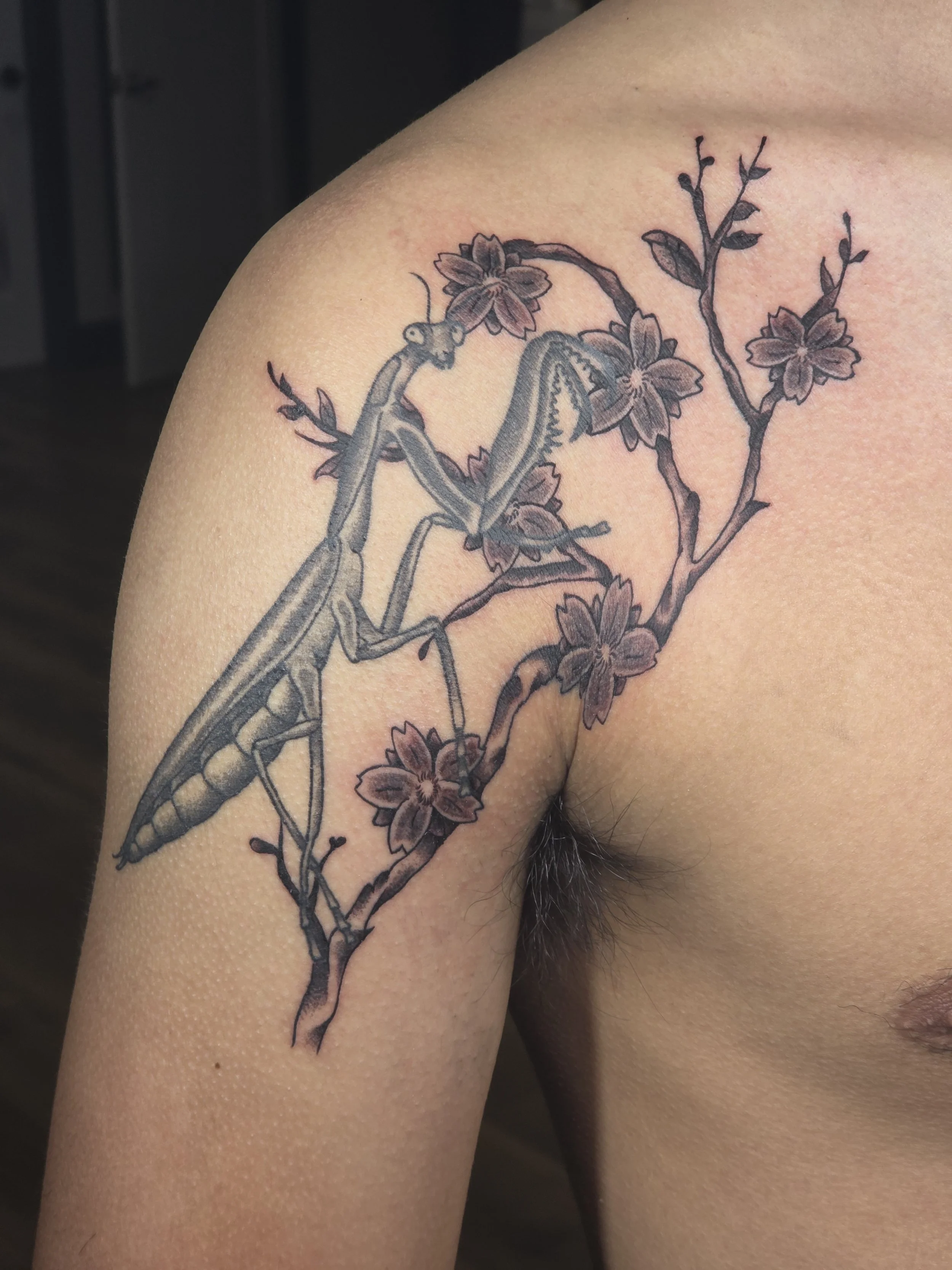Tattoo of a cherry blossom branch with flowers on a person's upper arm.