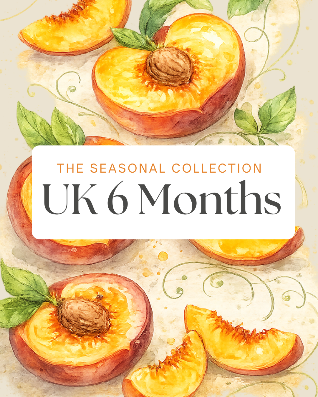 The Recipe Club Gift — UK 6-Month