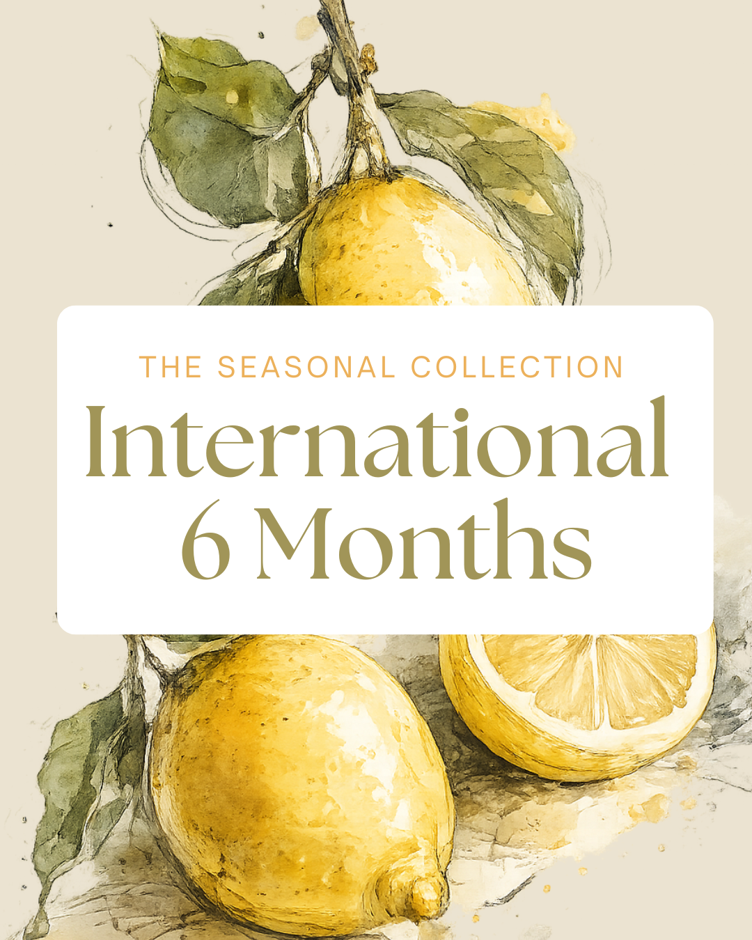 The Recipe Club Gift — International 6-Months