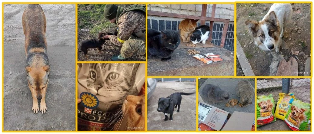 Help Animals Survive