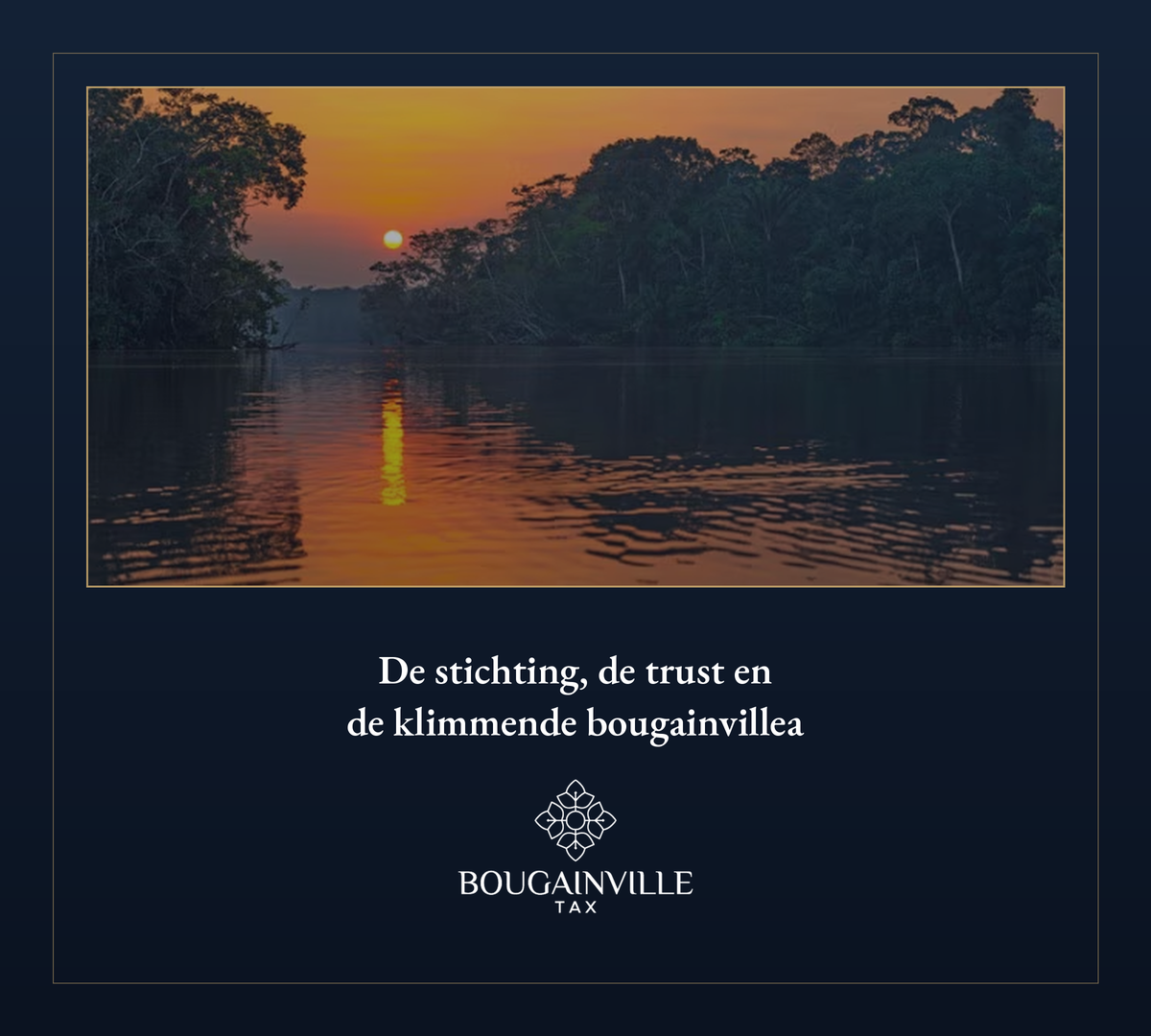 De stichting, de trust en de klimmende bougainvillea