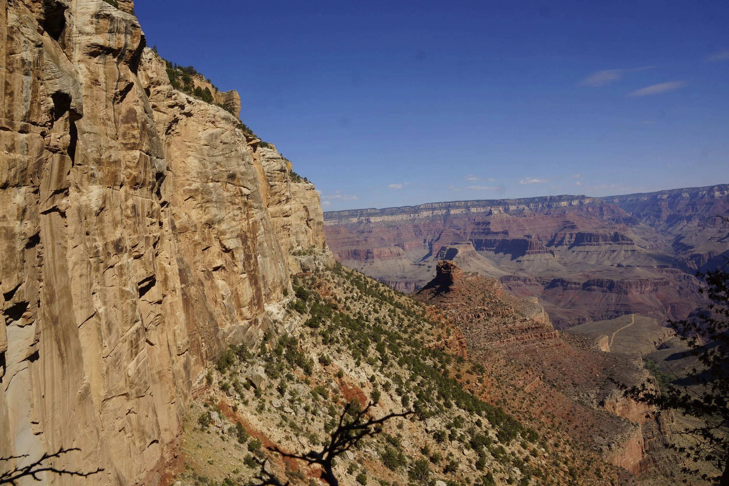 _DSC7720.JPG