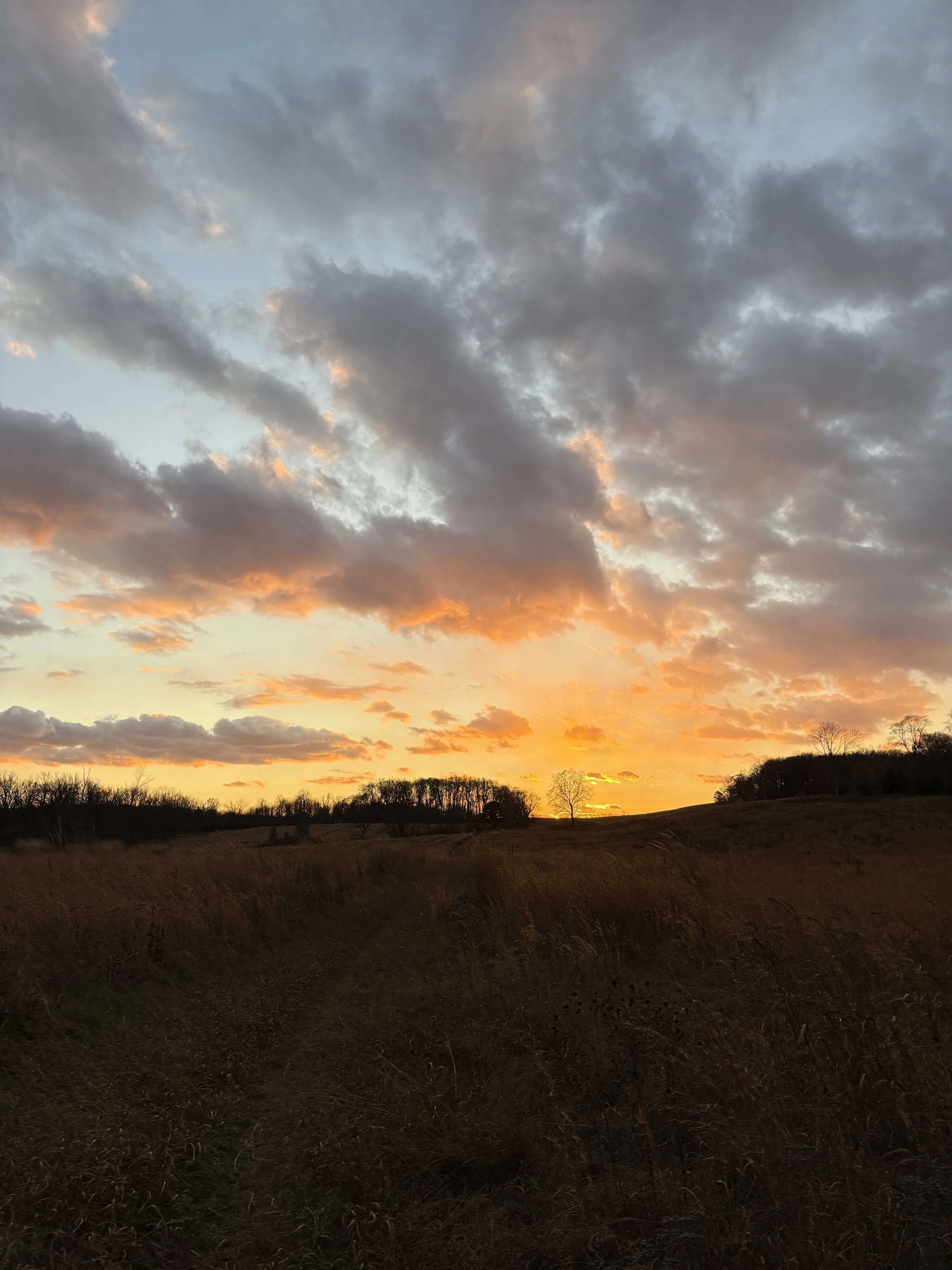 IMG_0892.jpeg