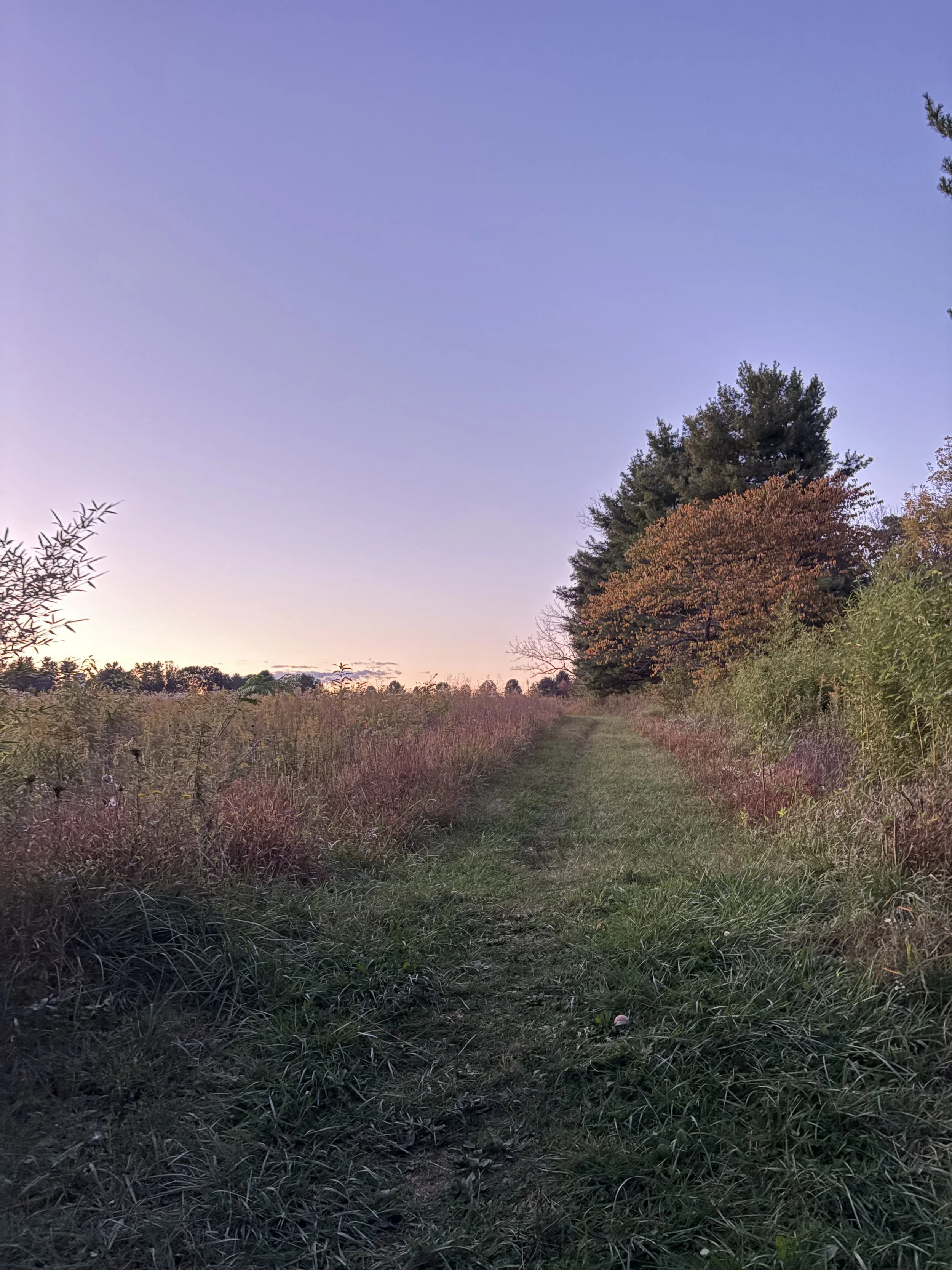 IMG_7600.jpeg