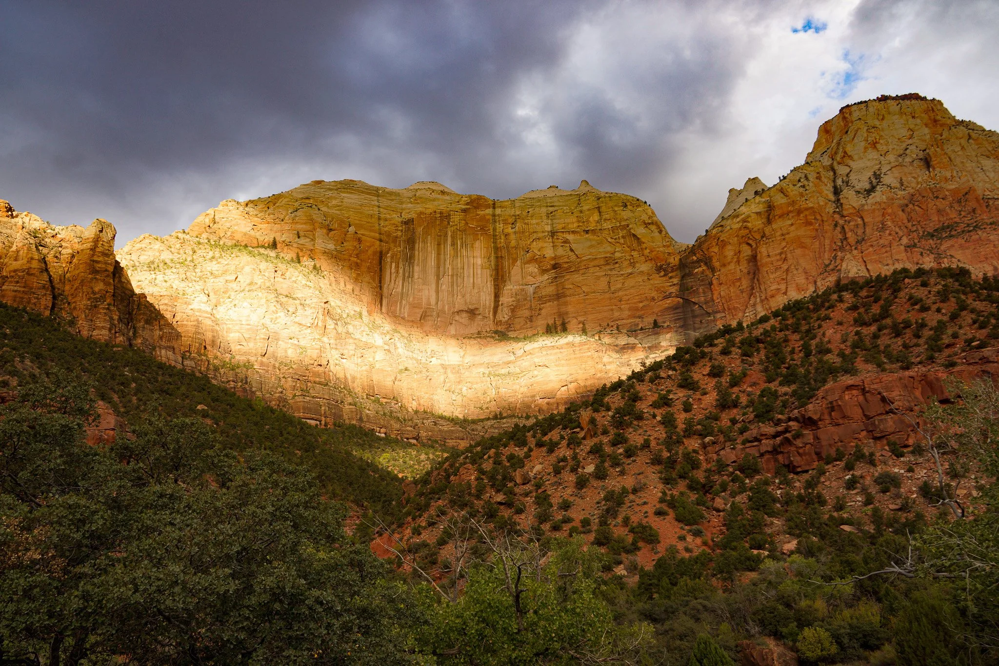_DSC8647.jpg