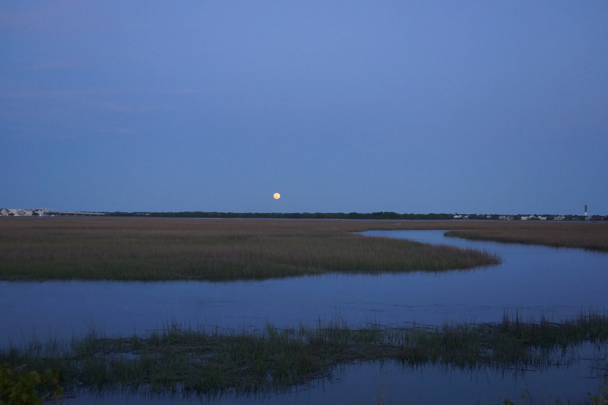 _DSC6354.JPG