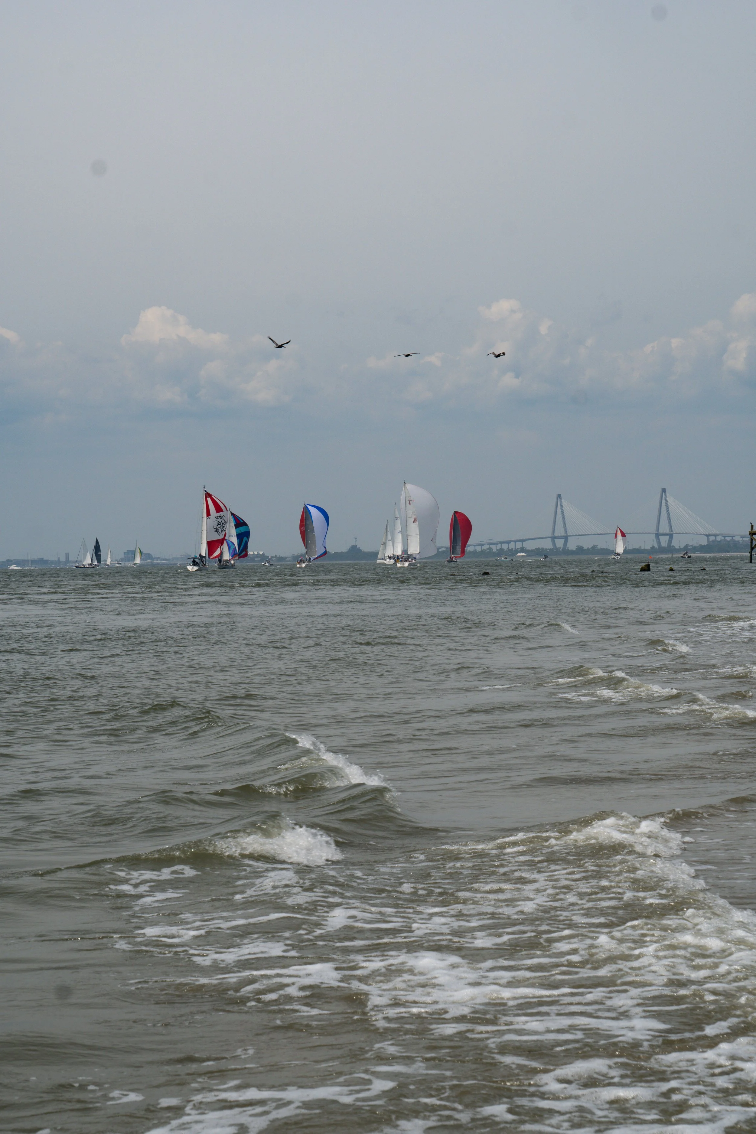 DSC00179.jpg