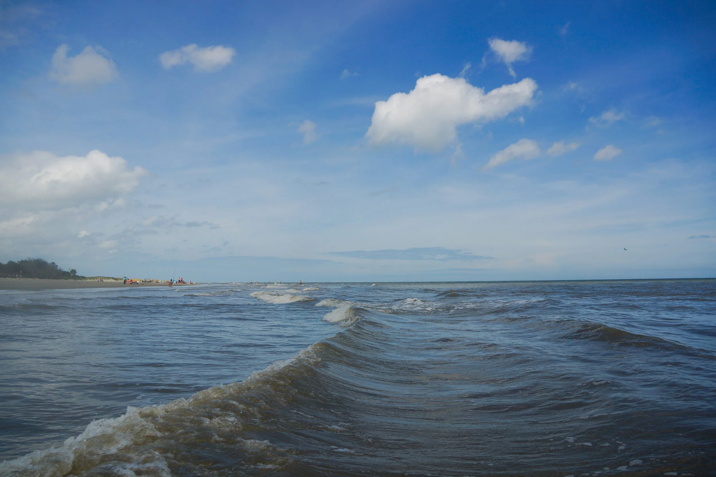 _DSC0398.jpg