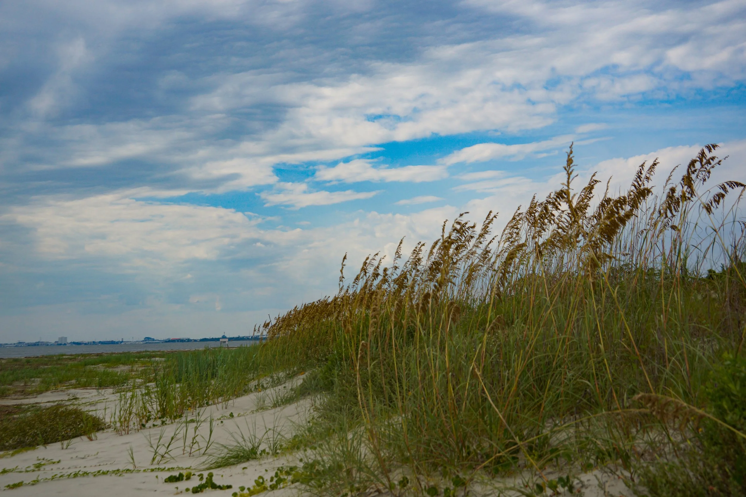 _DSC1344.jpg