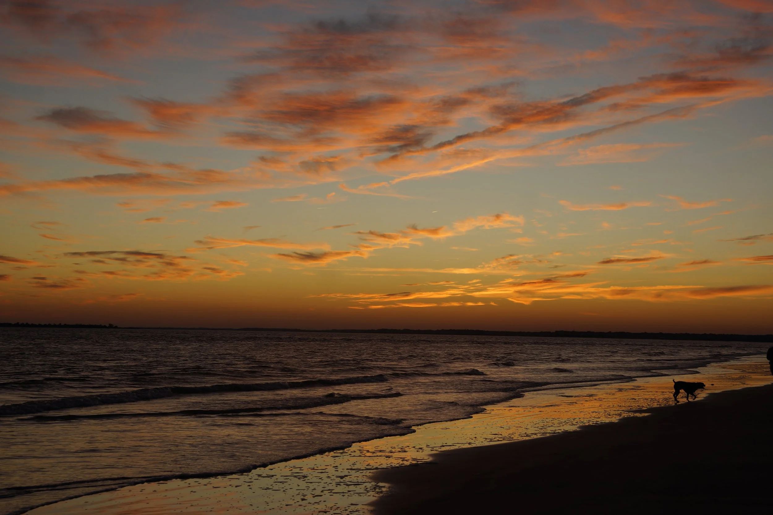 _DSC8992.JPG