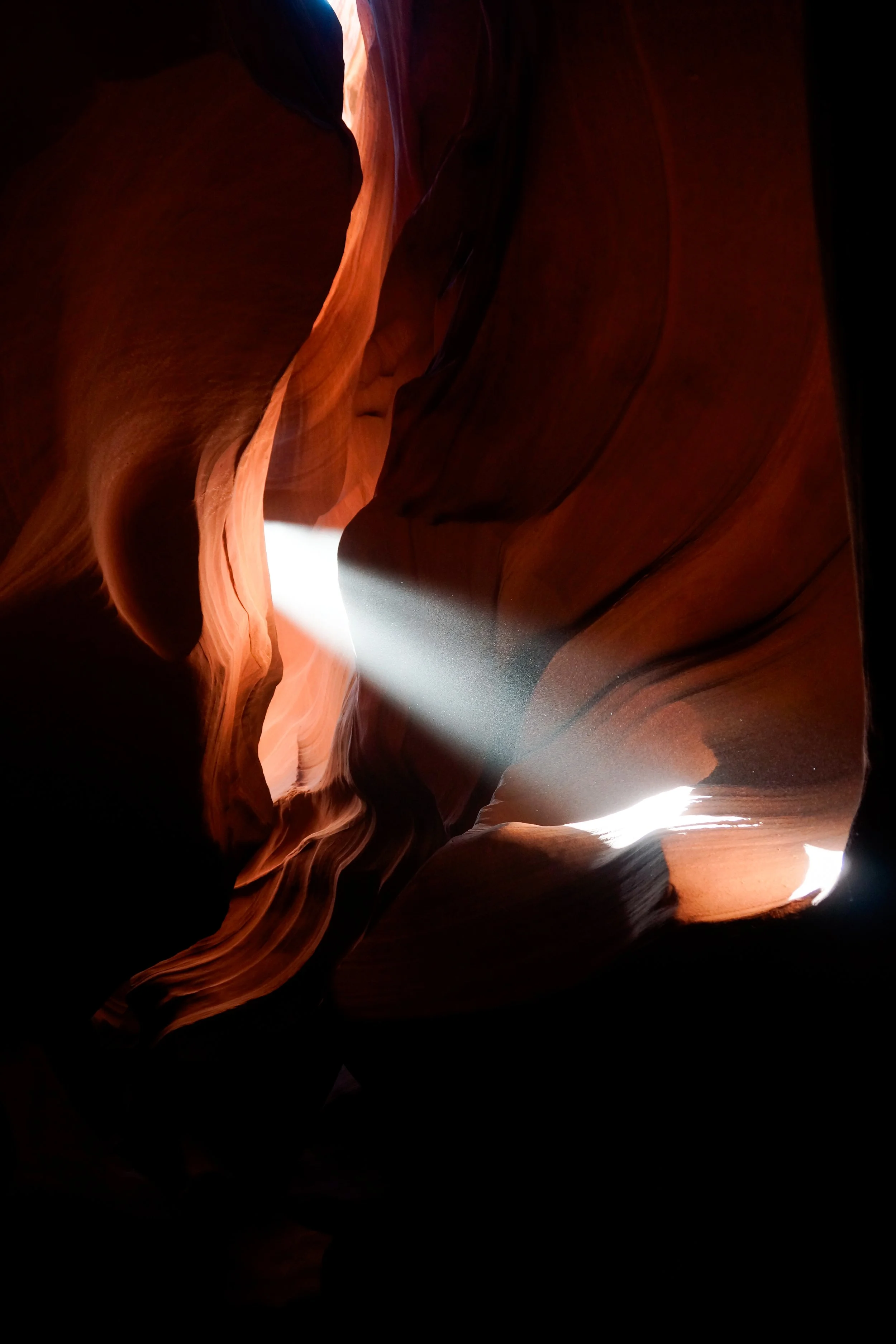 _DSC8130-2.jpg