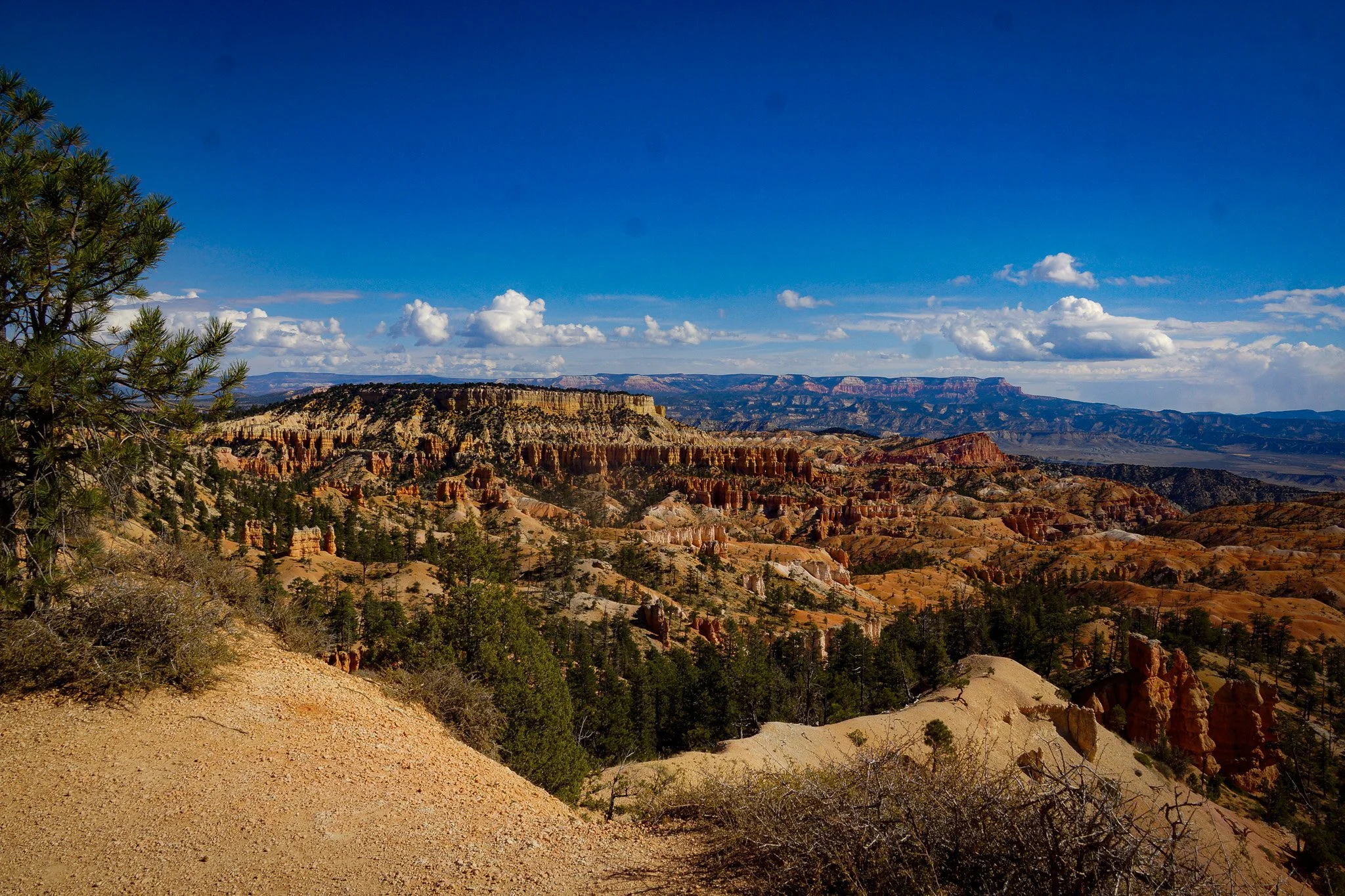 _DSC8546.jpg