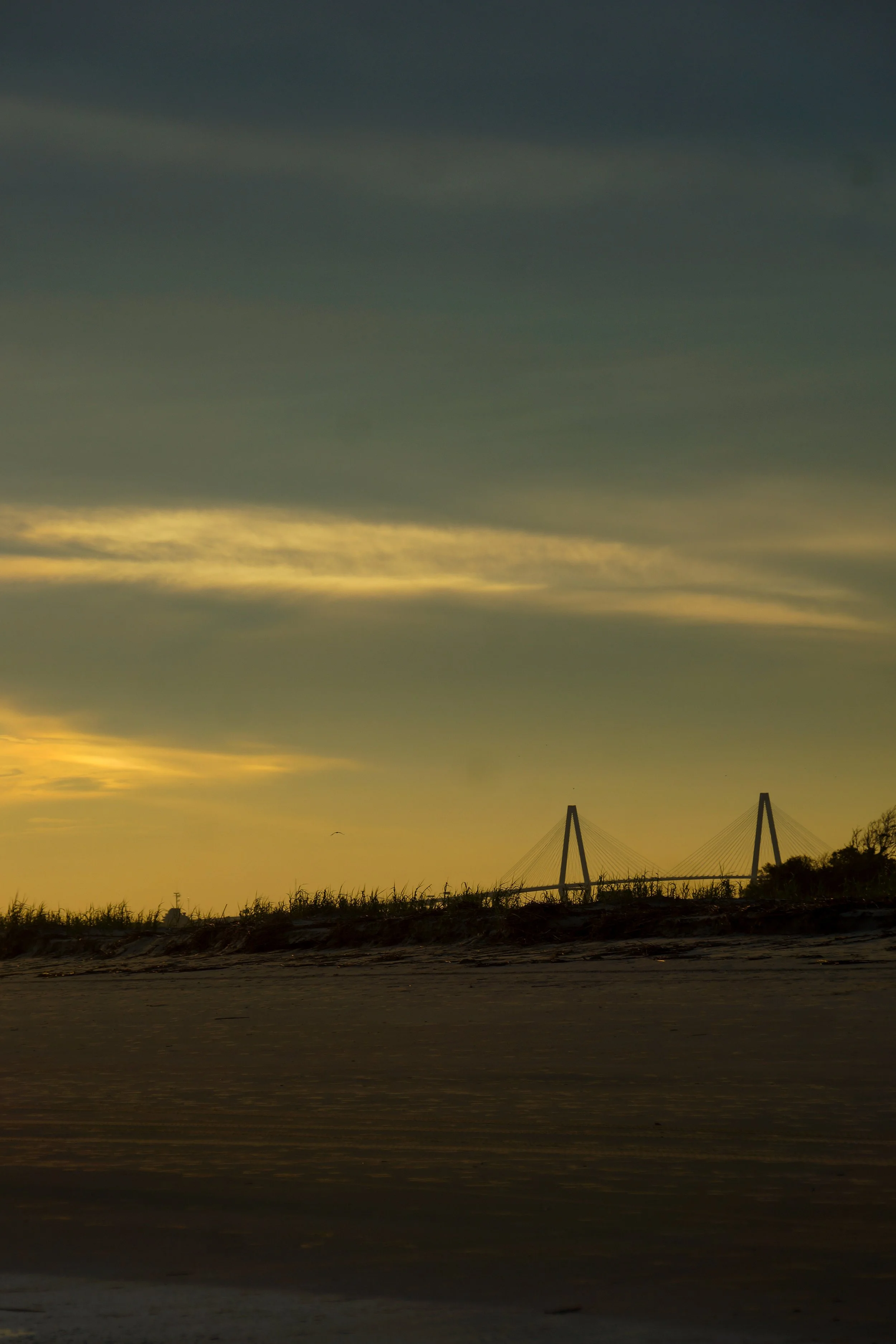 _DSC0968.jpg