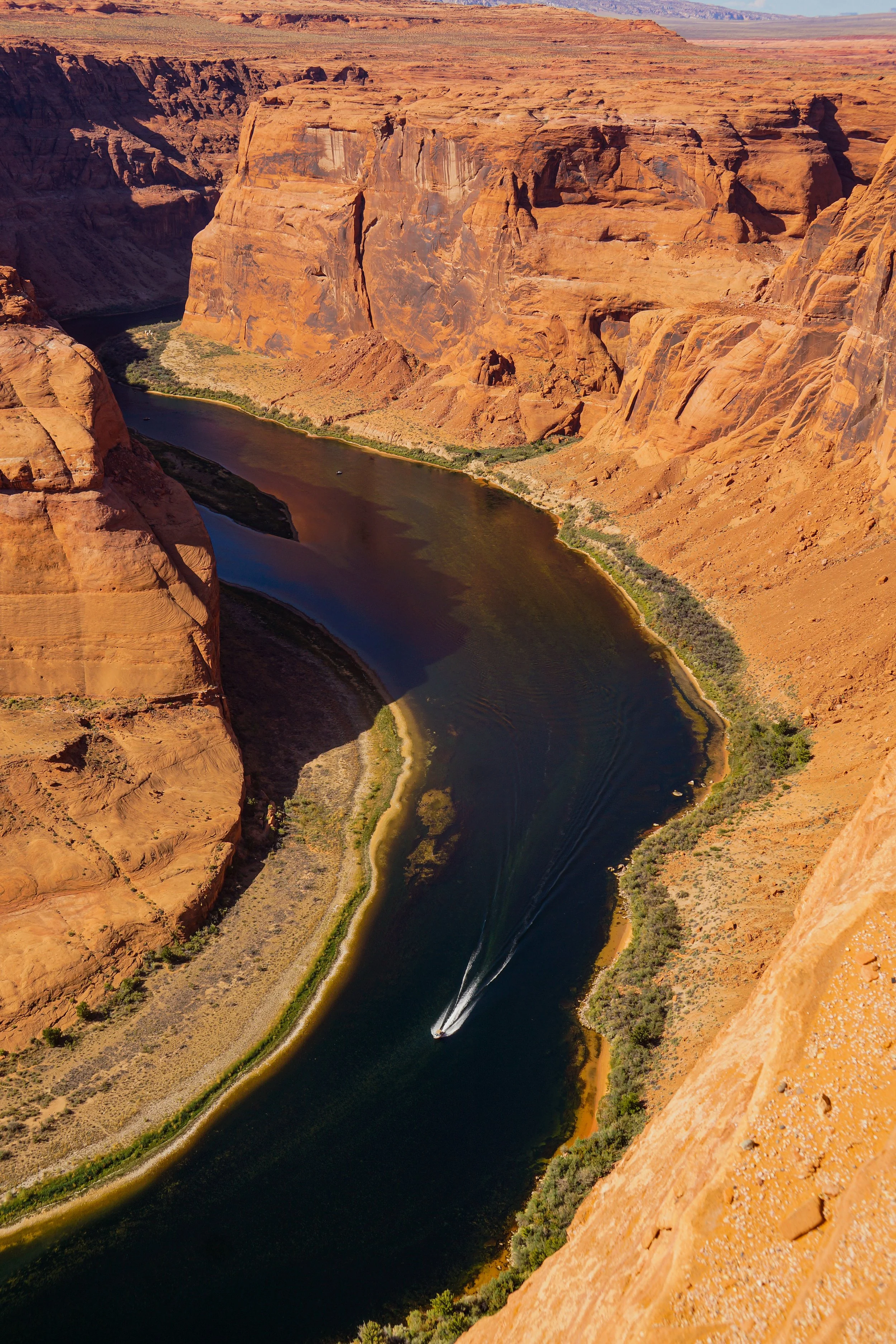 _DSC8223.jpg