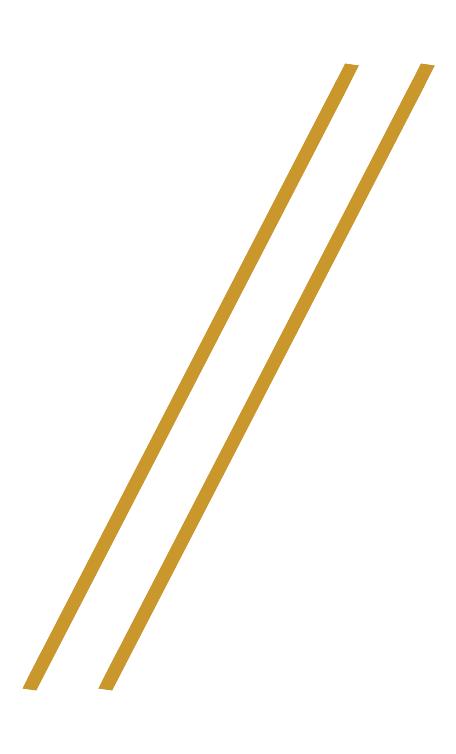 Close-up of a black surface with two parallel gold lines.