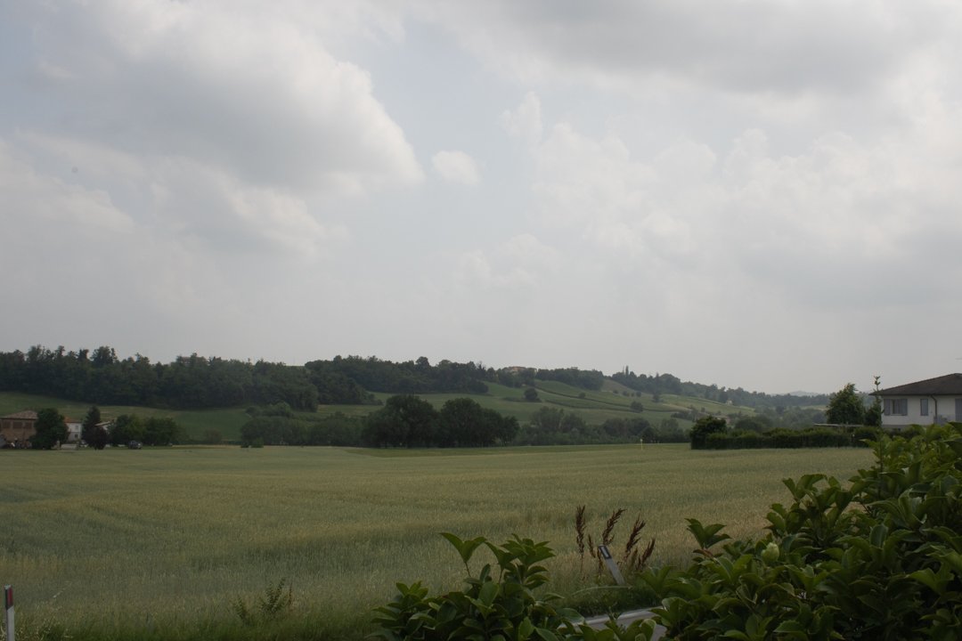 Bolongnia72ppi-55.jpg