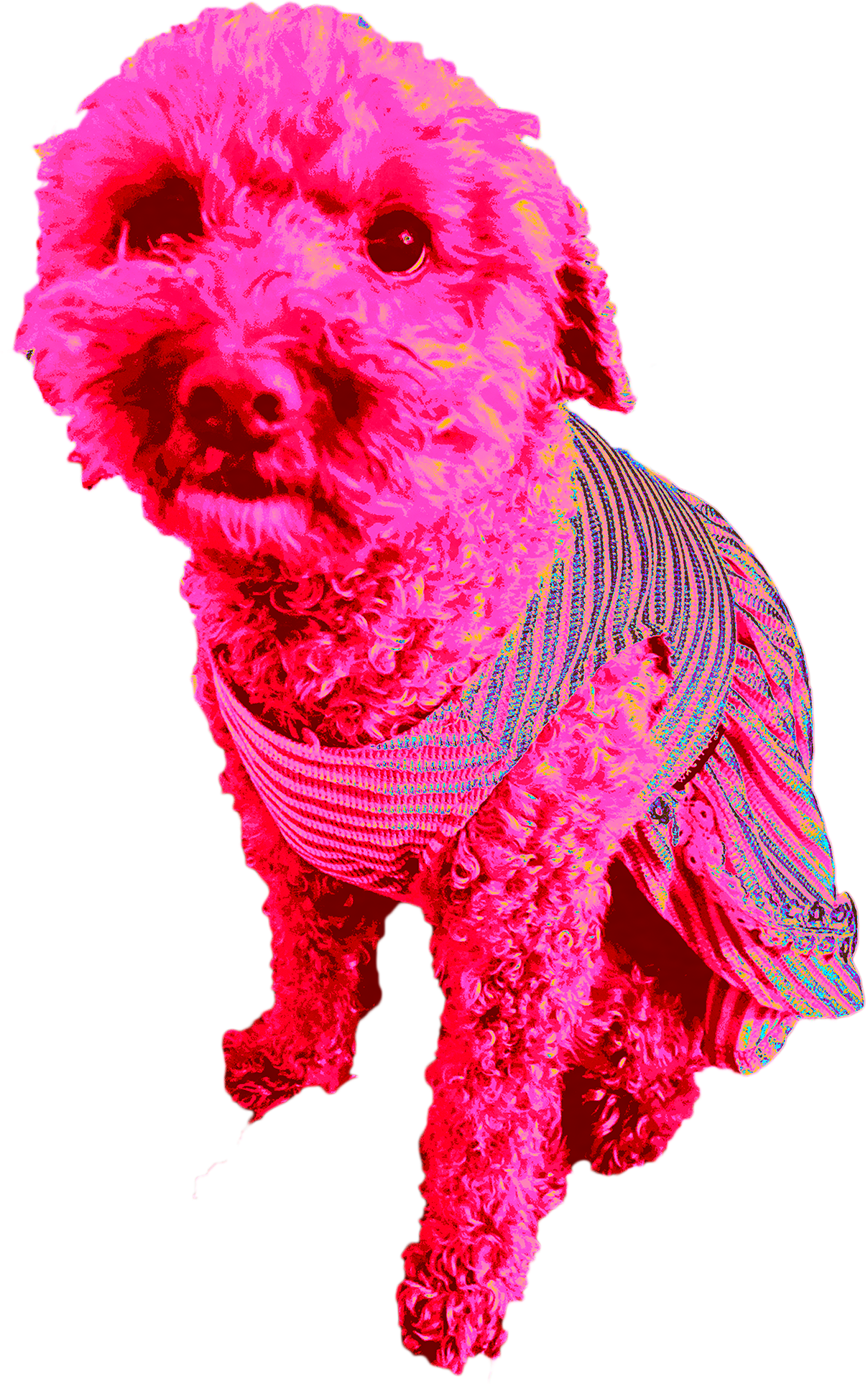 phoebe.png