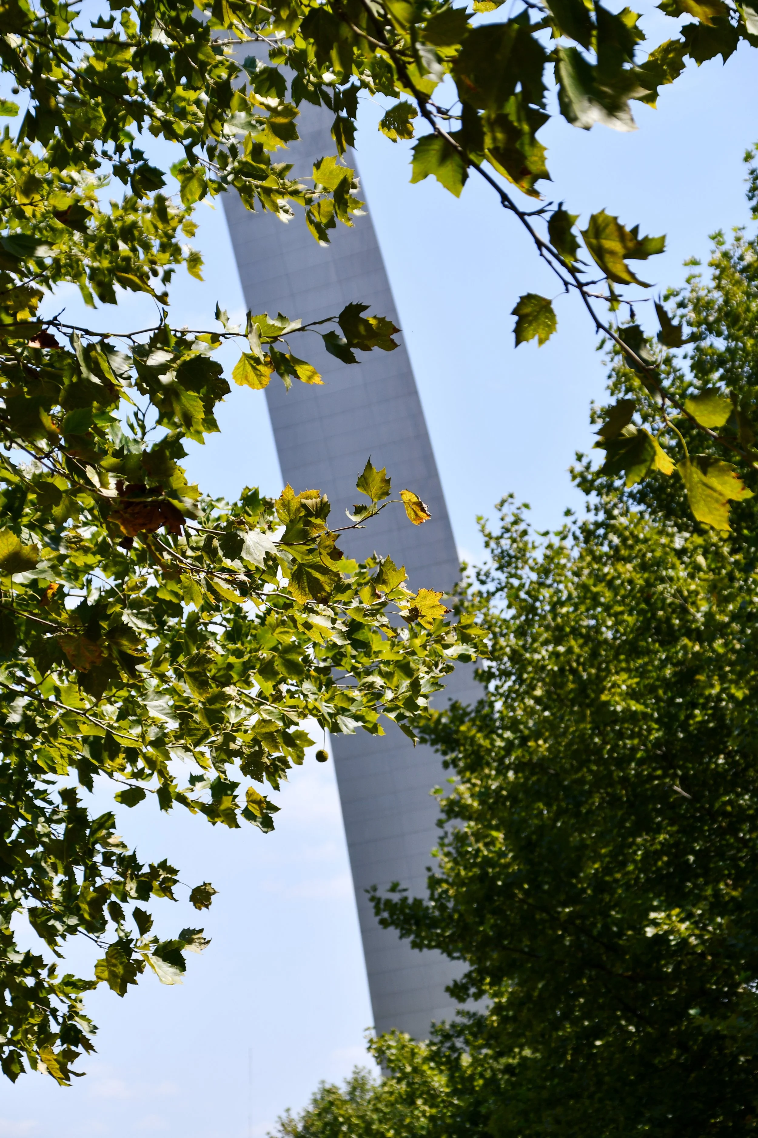 Tall monument partially obscured by green leafy trees under a clear blue sky. The Gateway Arch in St. Louis, Missouri.