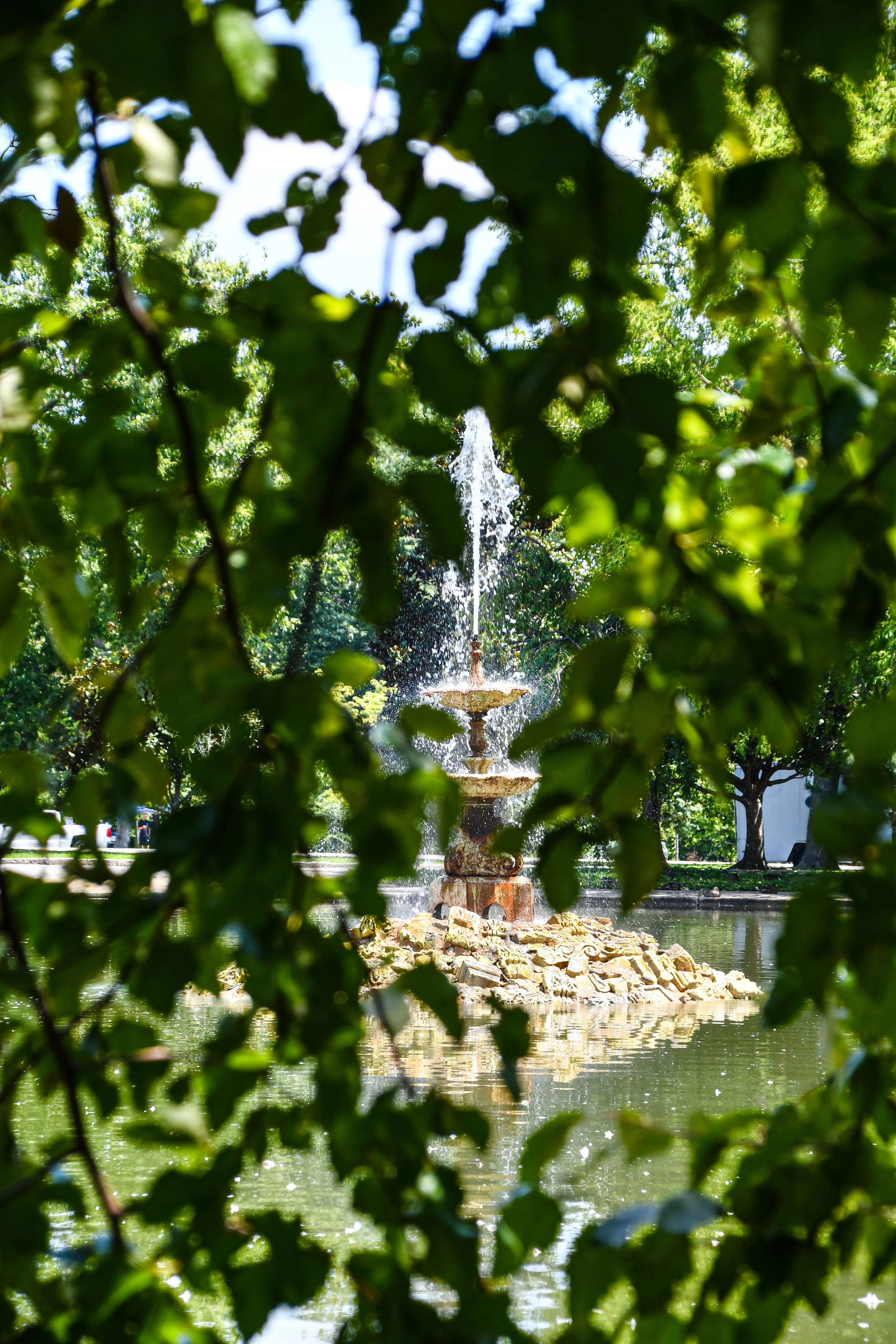 A fountain in the center of a pond, framed by green leaves in the foreground, with trees and a park setting in the background.