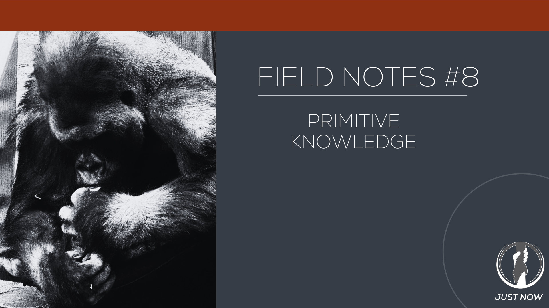 Field Notes #8