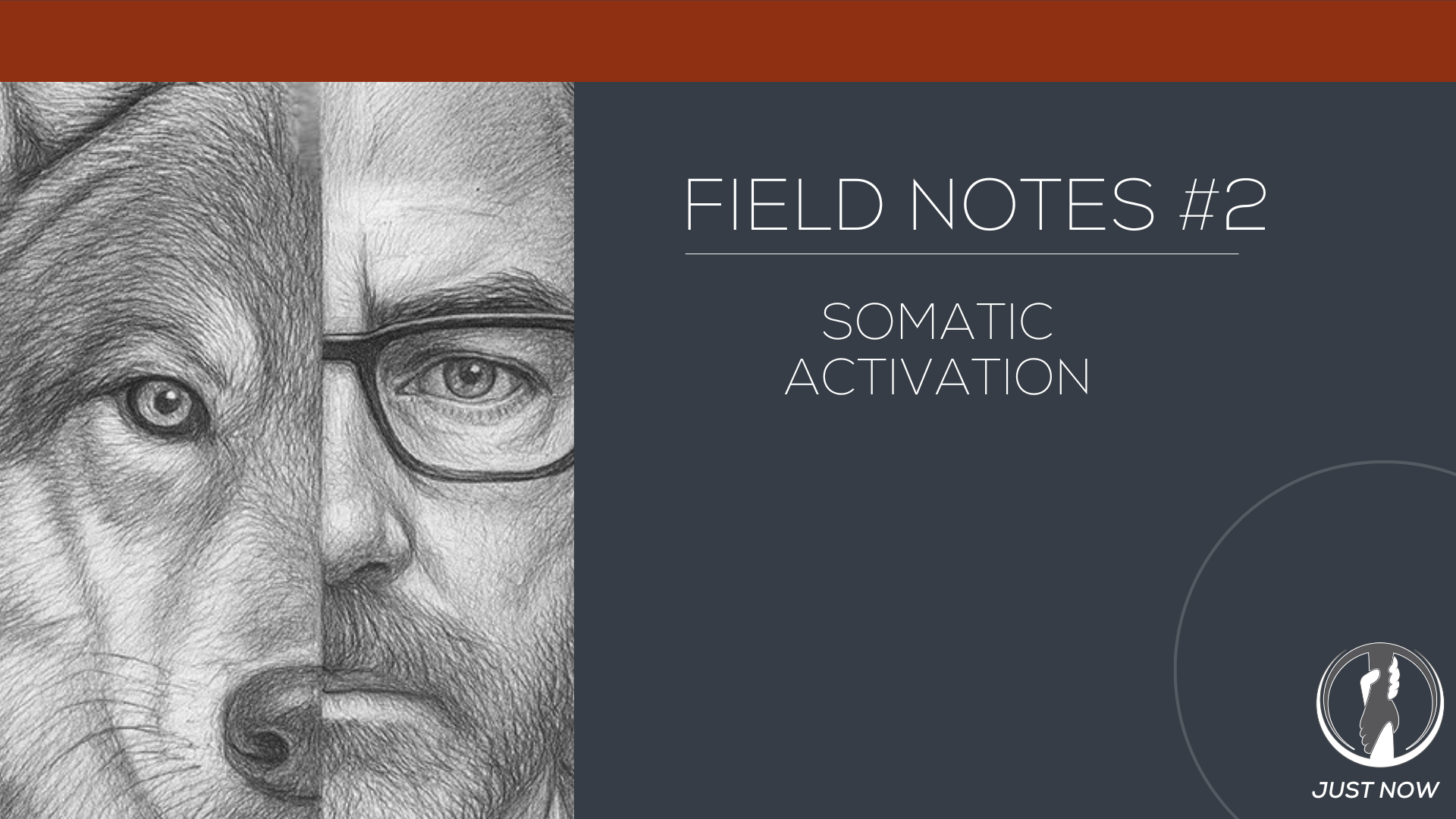 Field Notes #2