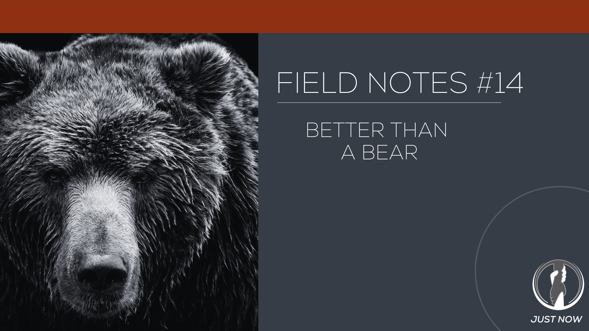 Field Notes #14