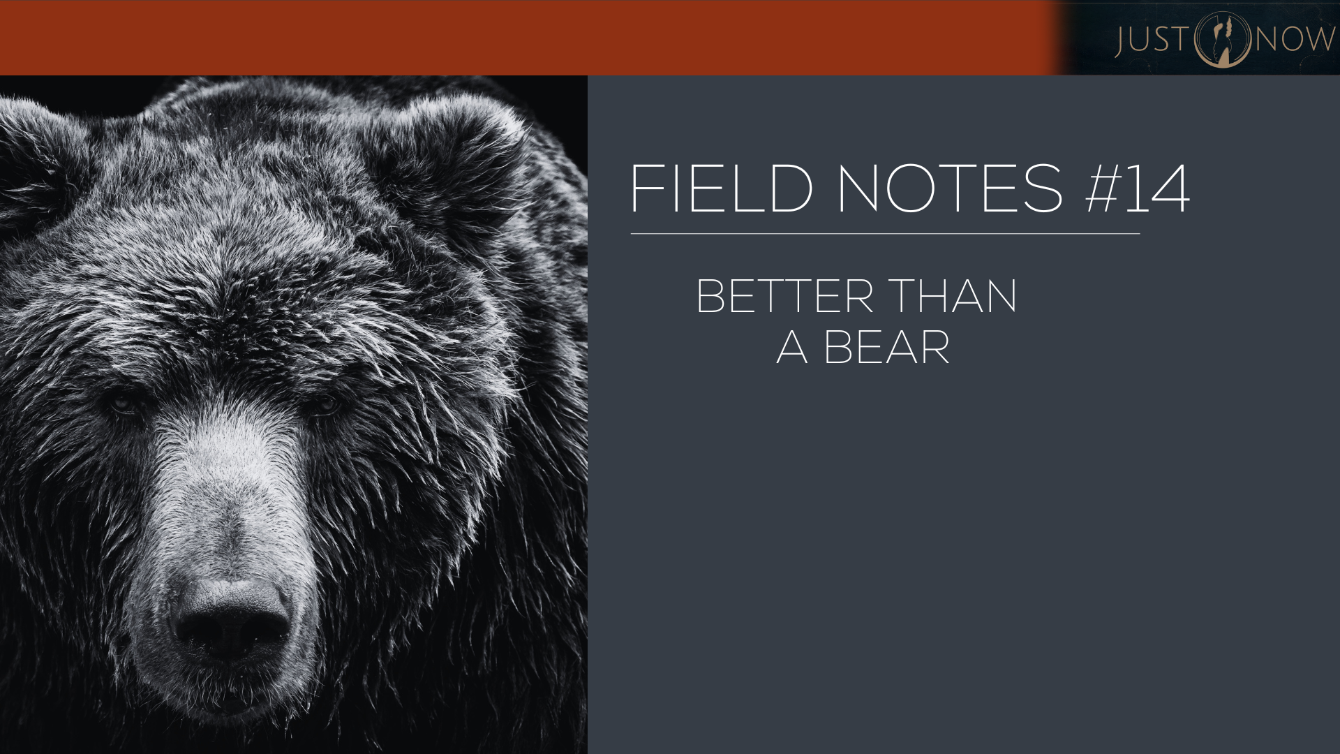 Field Notes #14