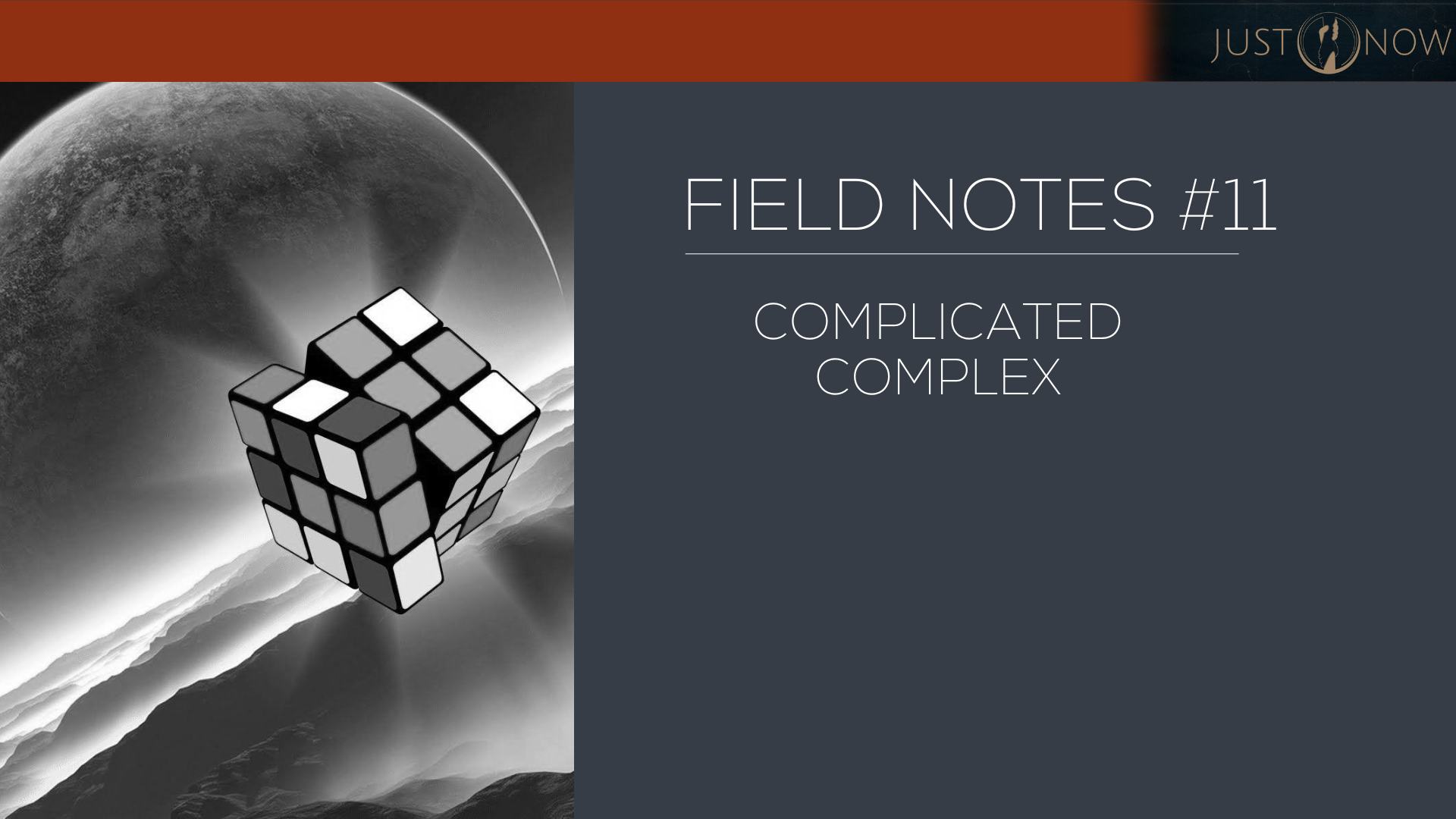 Field Notes #11