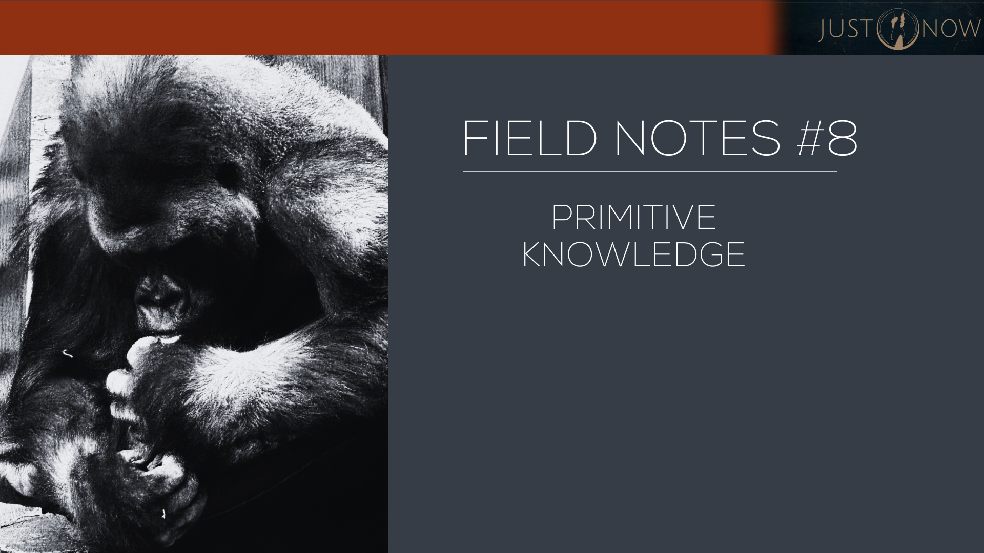 Field Notes #8