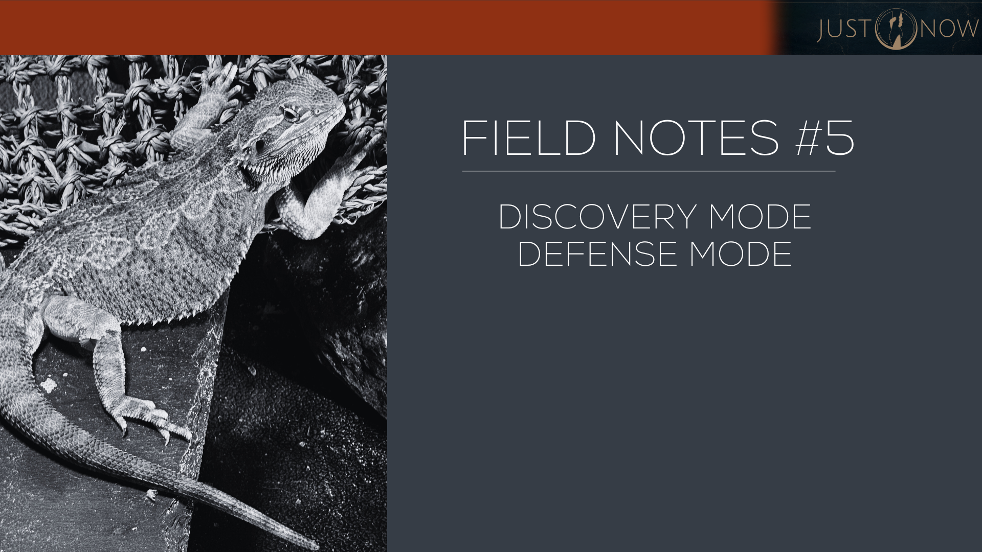 Field Notes #5