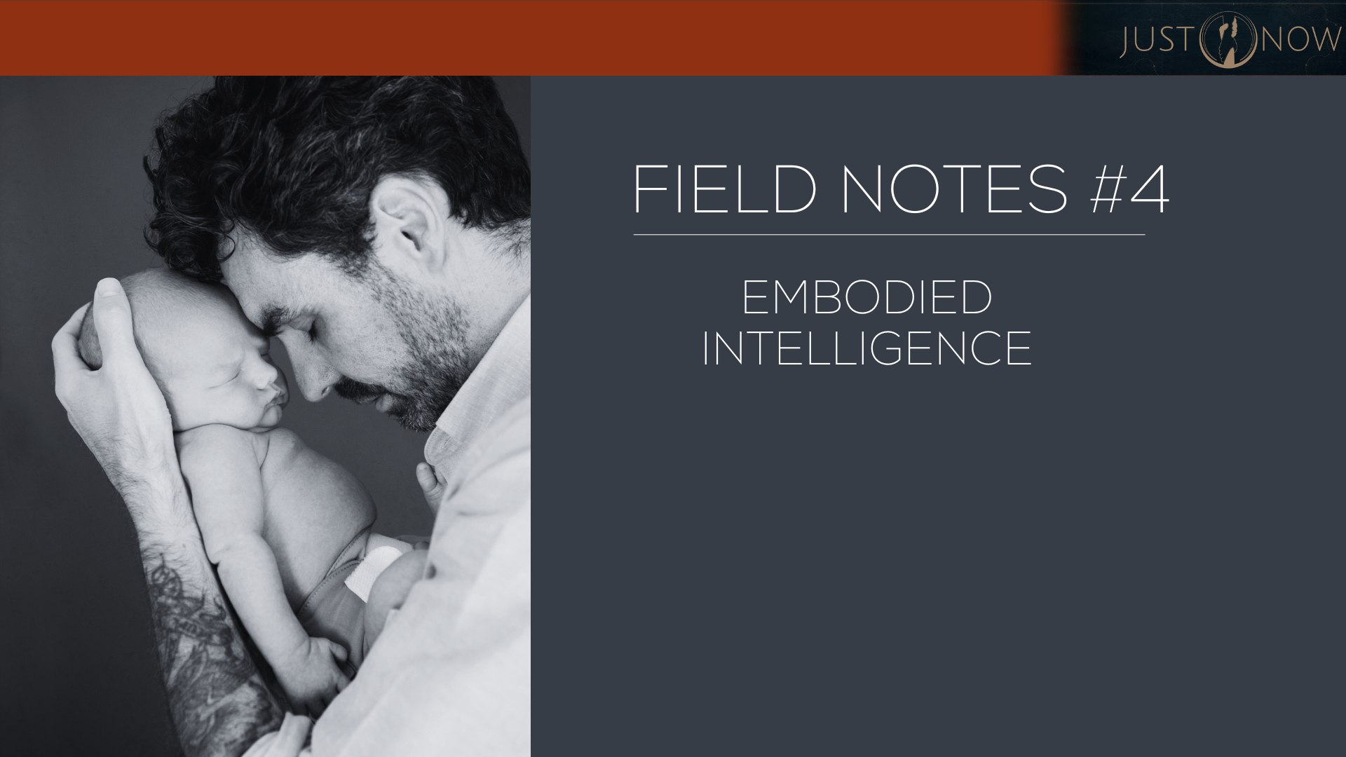 Field Notes #4