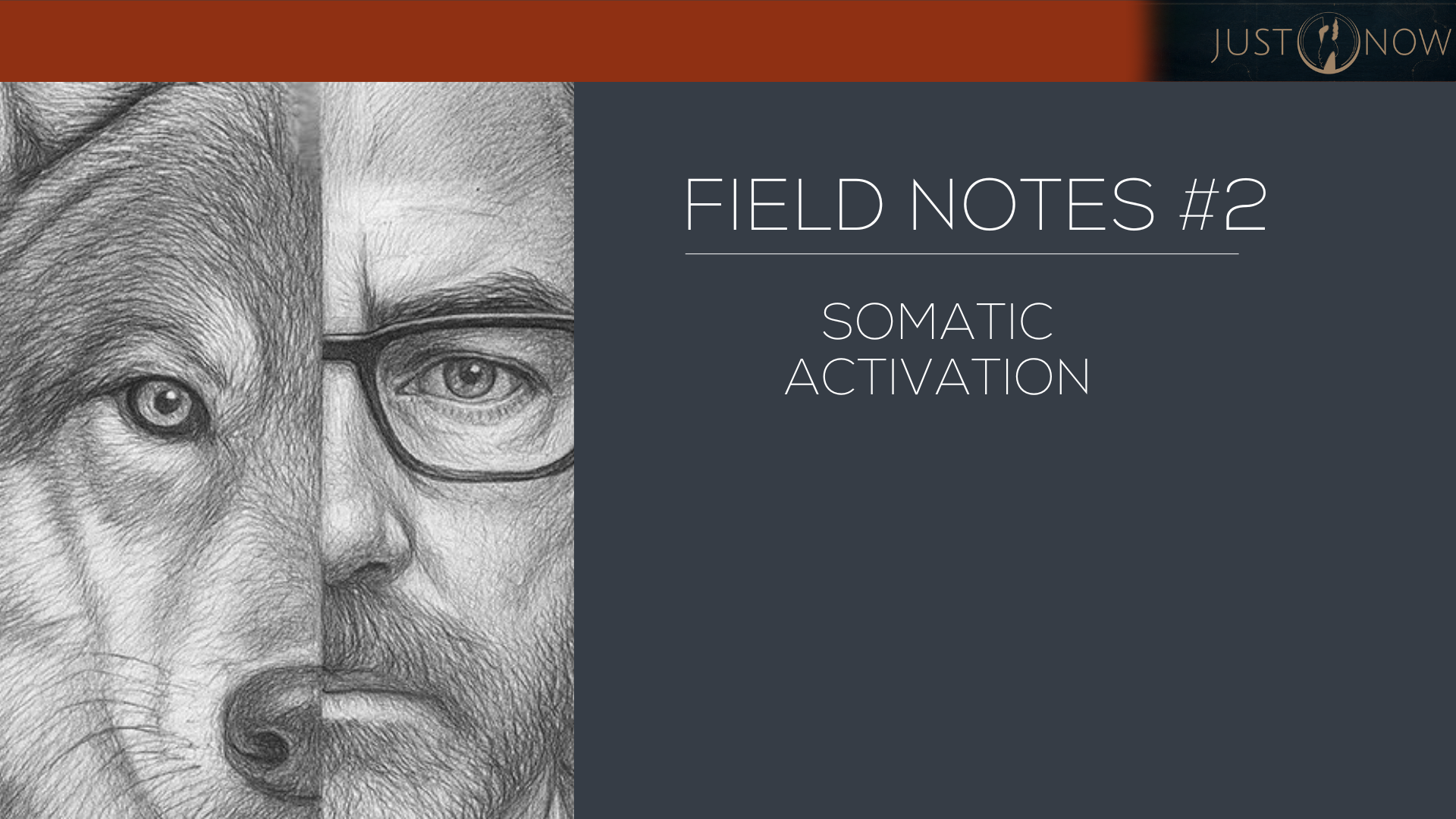 Field Notes #2