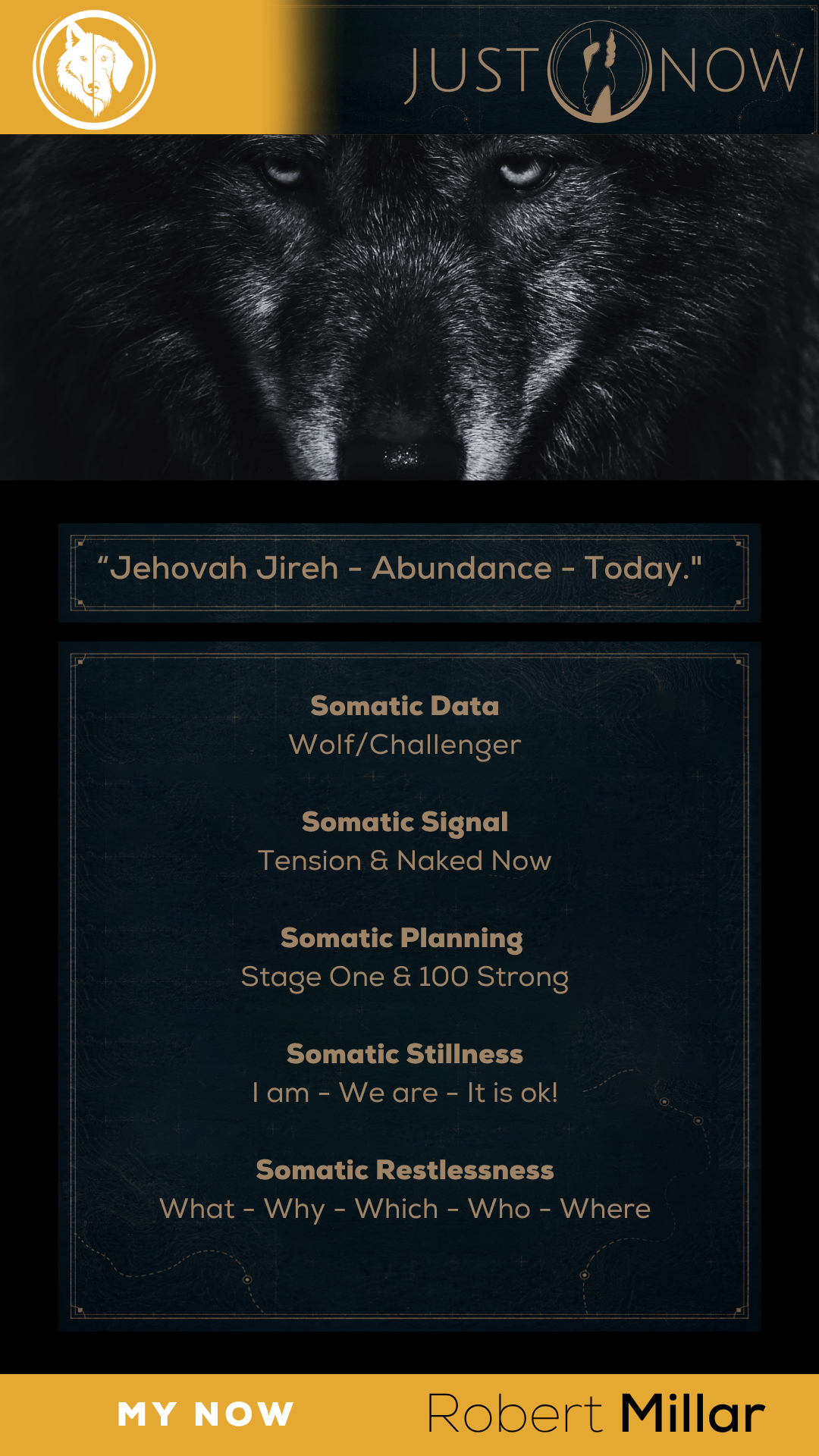 My Now - Snapshot - Sherpa.png