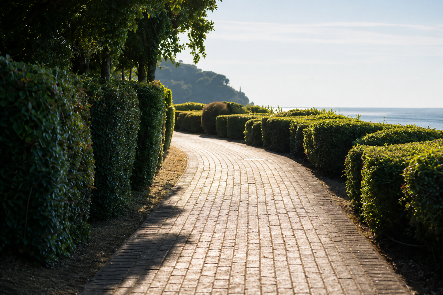 Pathway representing personal growth, clarity, and positive change.