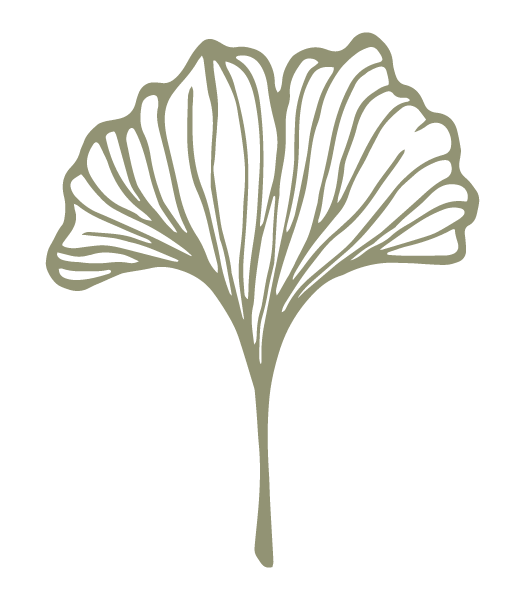 Line drawing of a ginkgo leaf with a long stem and radiating veins, on a black background.