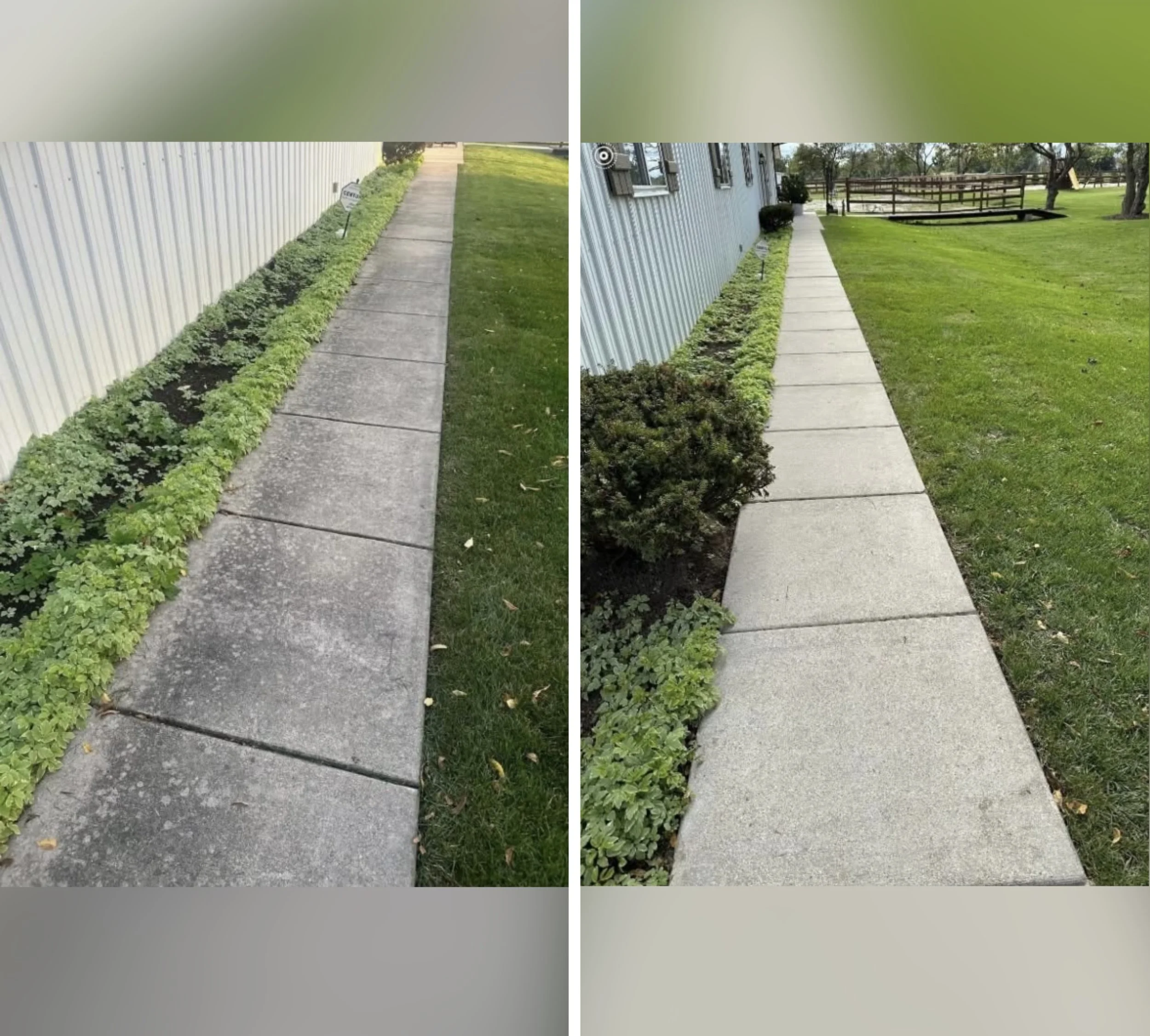 Side-by-side comparison of two sidewalks running alongside chain-link fences and small bushes, with a grassy area on the right side, and trees and fences in the background. The left sidewalk appears aged and dirty, while the right sidewalk looks clean and new.