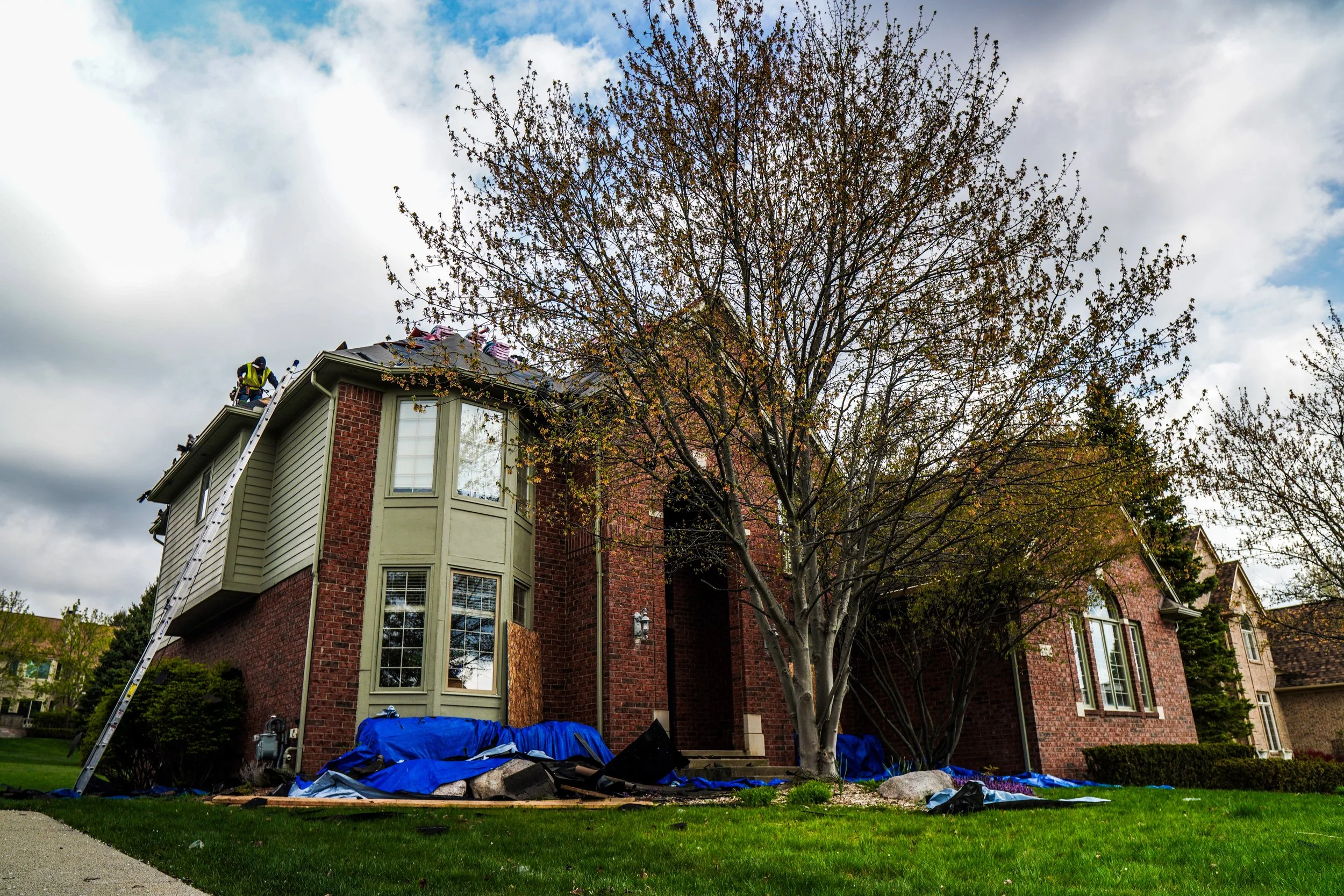 Your Trees Are Beautiful. But Your Roof Has Notes.