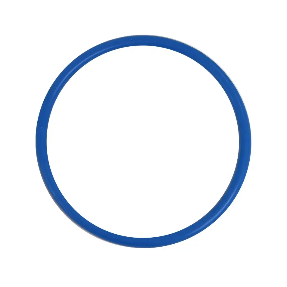 IC_UV_oring.webp