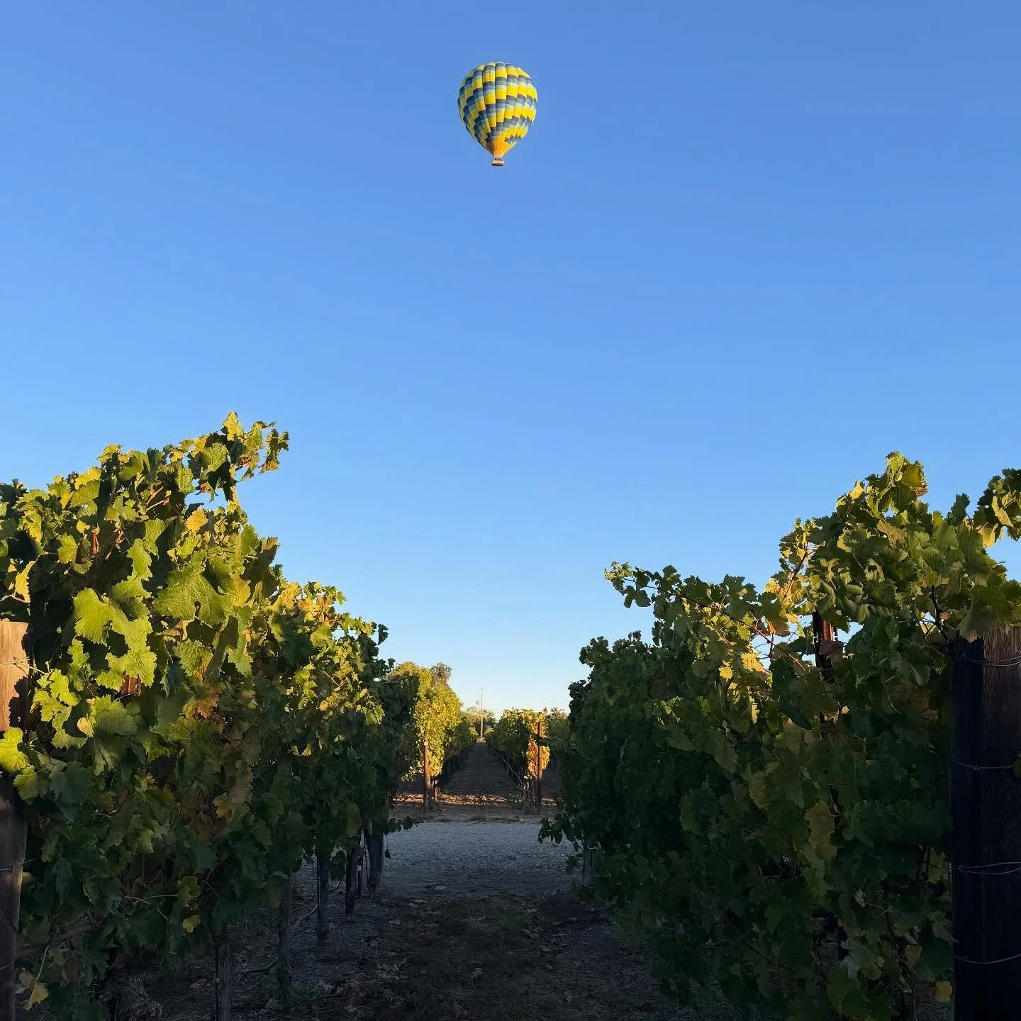 Hot air balloon over our property