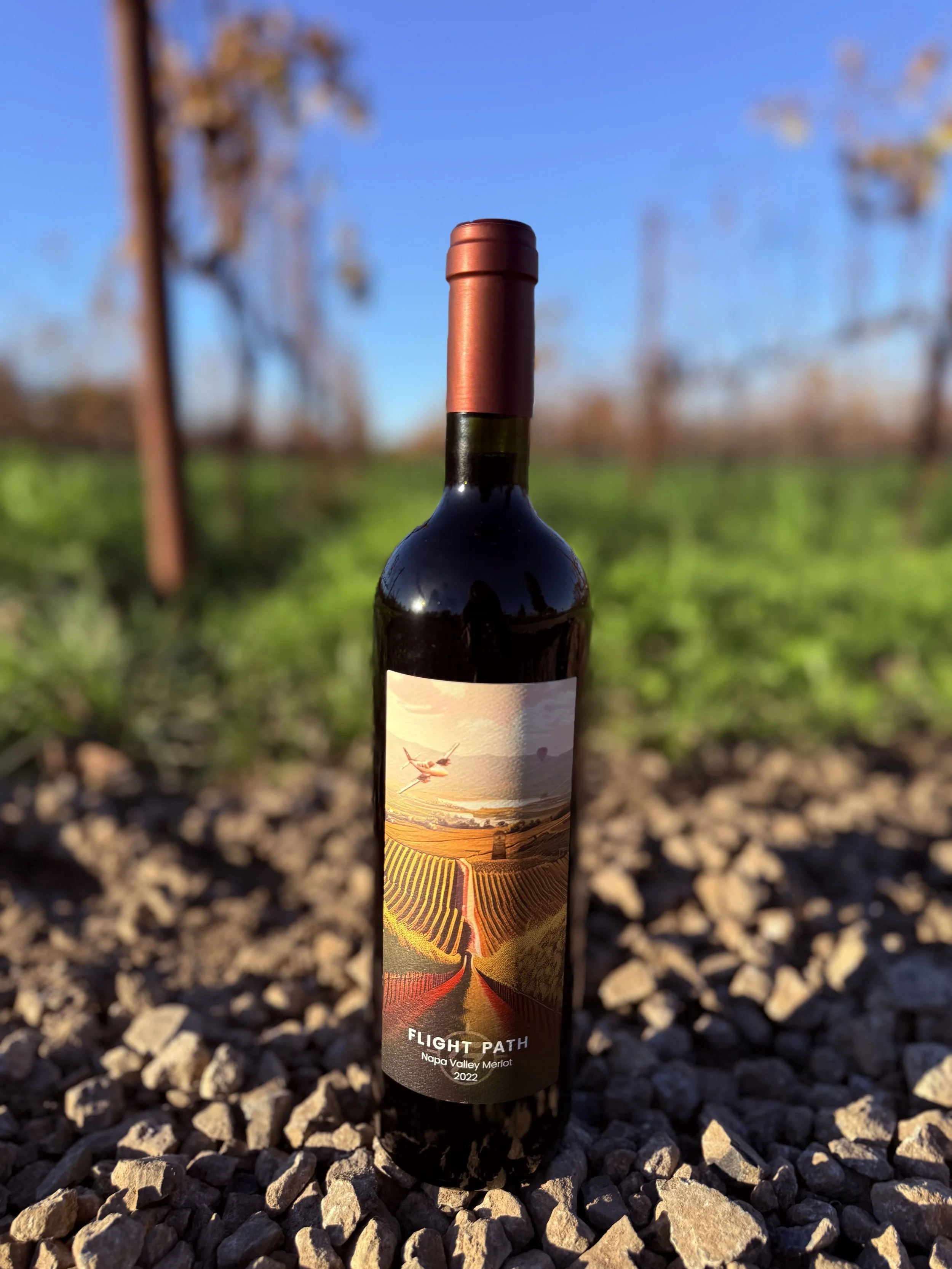 wine in vinyards.jpg
