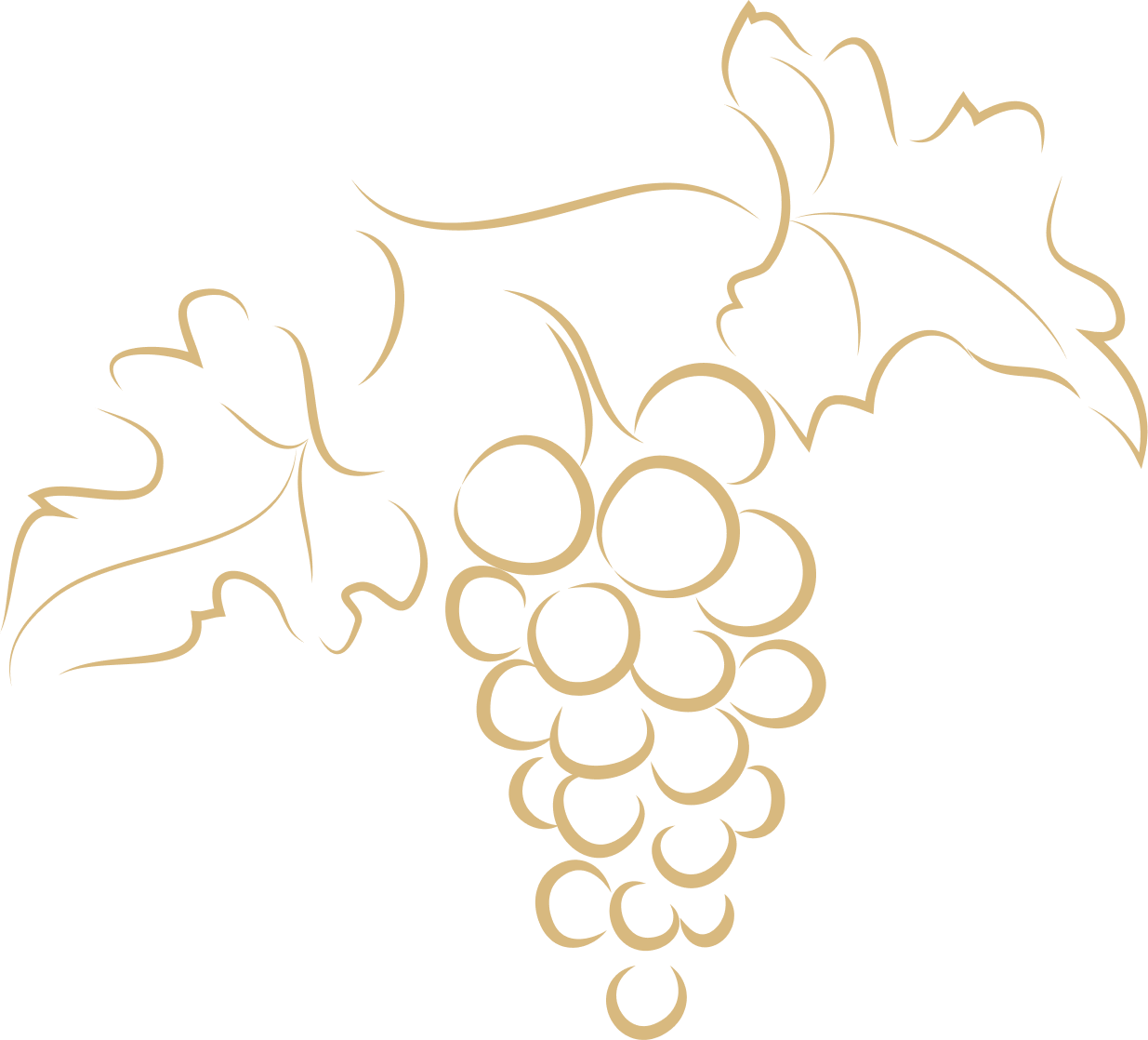 illustrated gold tinted vine with grapes