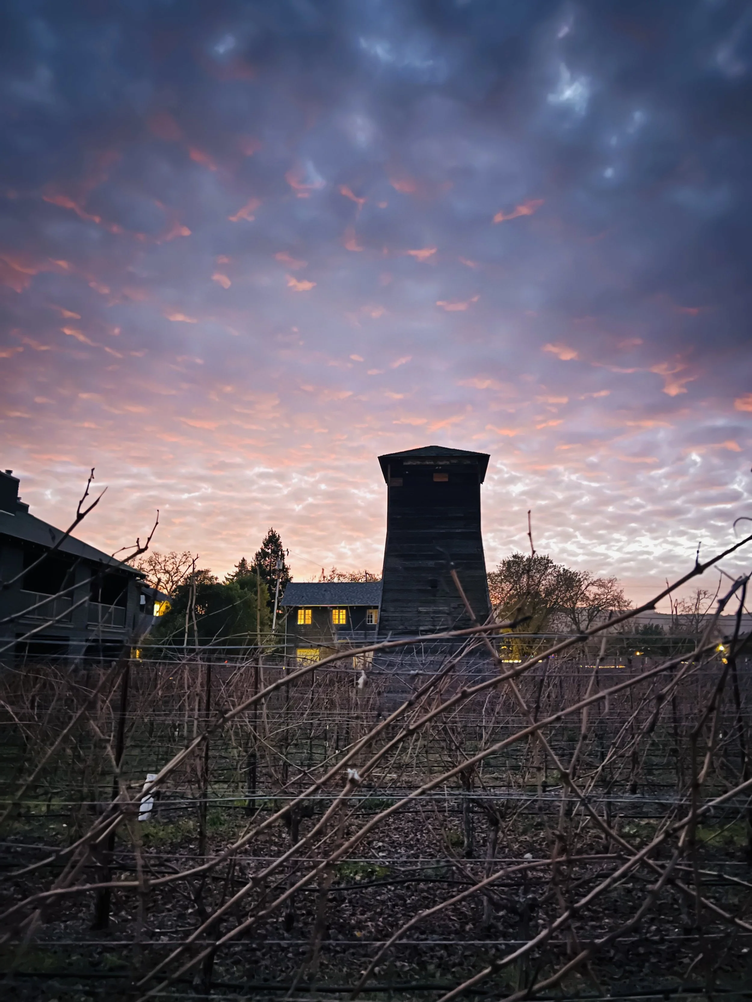 The Tank House in the winter with a moody sky