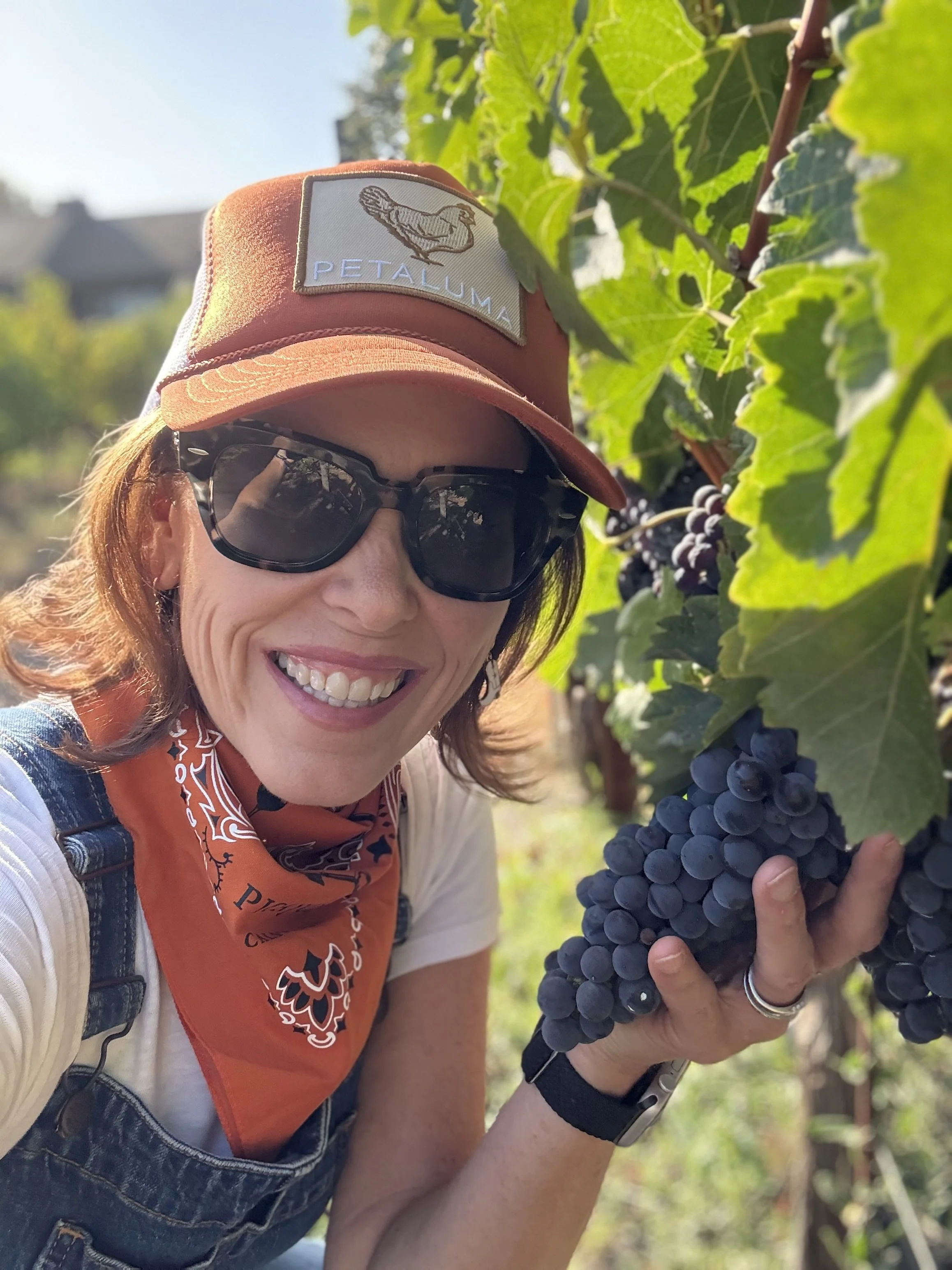 Jessica holding a bunch of the merlot grapes