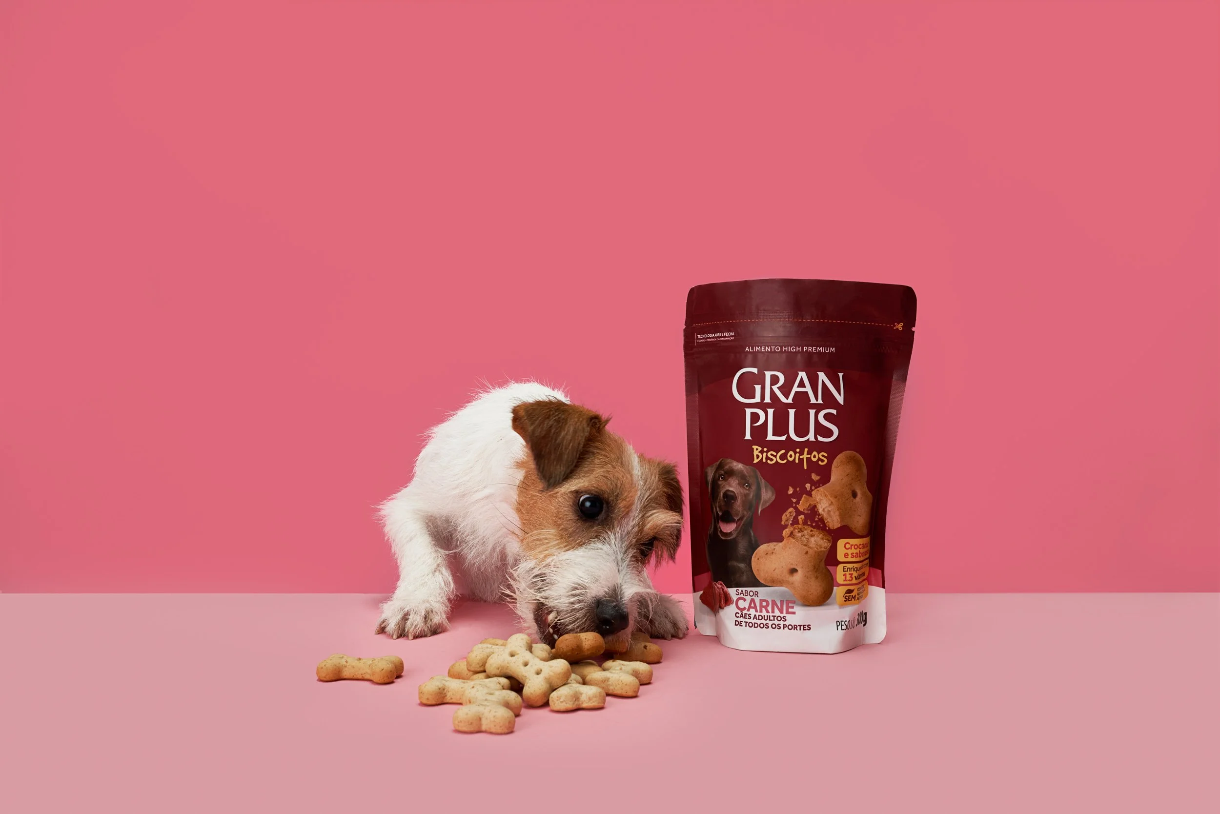 GranPlus_Pets_30_v2.jpg